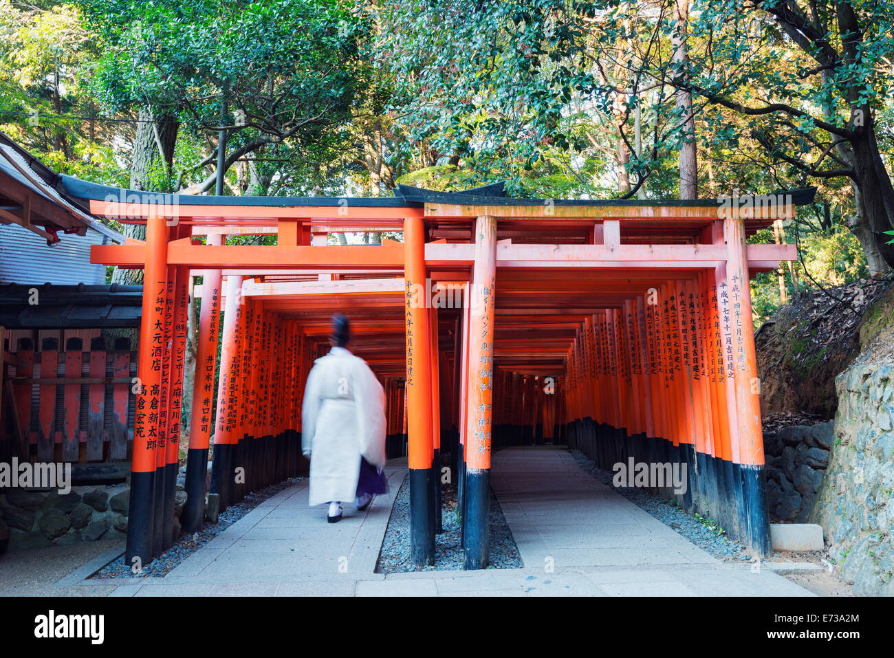 Torii gate a Fushimi Inari Jinja, sacrario scintoista, Sito Patrimonio Mondiale dell'UNESCO, Kyoto, Honshu, Giappone, Asia Foto Stock