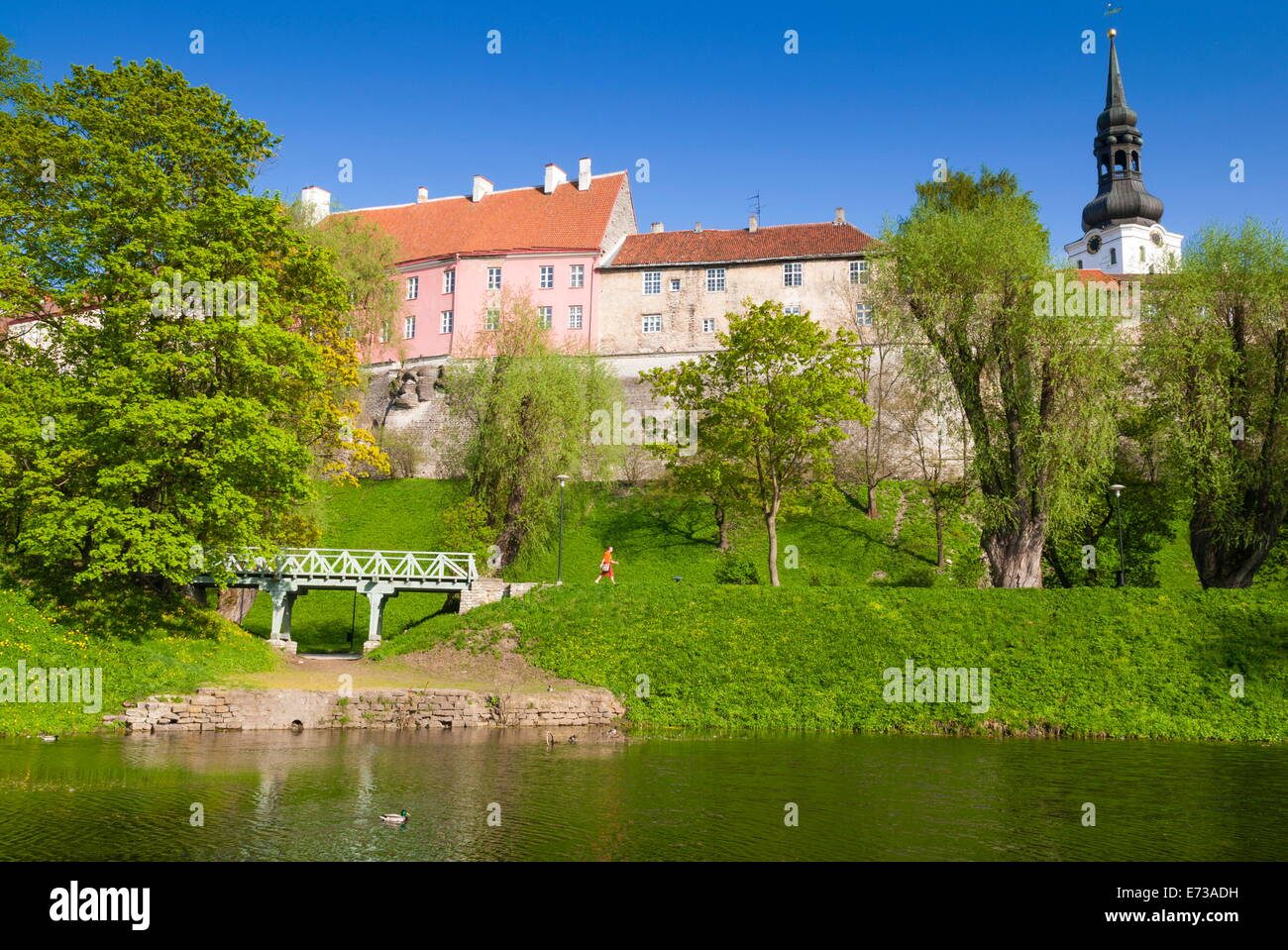 La collina di Toompea, Snelli Tiik lago, la città vecchia di Tallin, patrimonio mondiale dell UNESCO, Estonia, paesi baltici, Europa Foto Stock