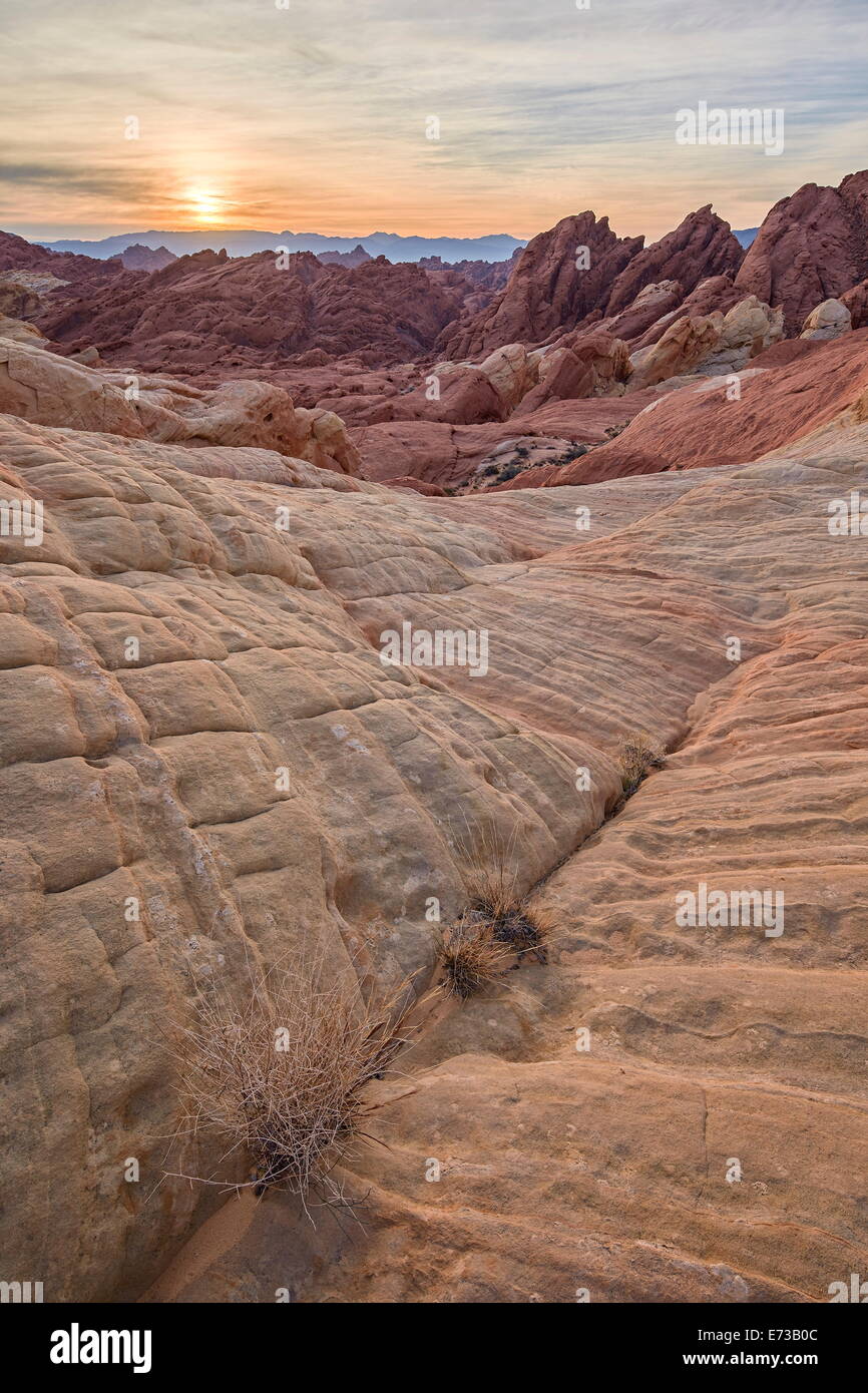 Sunrise a Fire Canyon, la Valle del Fuoco del parco statale, Nevada, Stati Uniti d'America, America del Nord Foto Stock