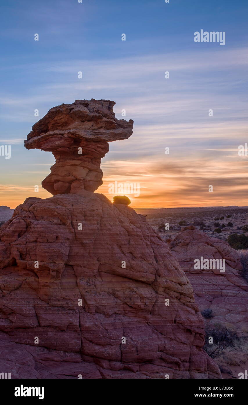 Formazioni di arenaria alla prima luce, Coyote Buttes deserto Vermiglio scogliere monumento nazionale, Arizona, Stati Uniti d'America Foto Stock