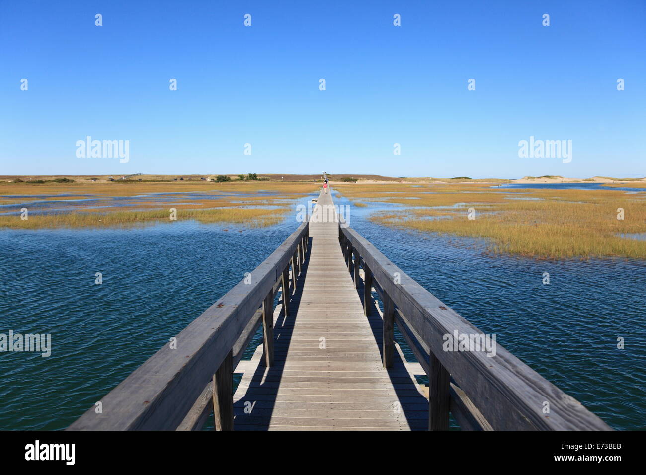 Il Boardwalk, Salt Marsh, sandwich, Cape Cod, Massachusetts, New England, Stati Uniti d'America, America del Nord Foto Stock