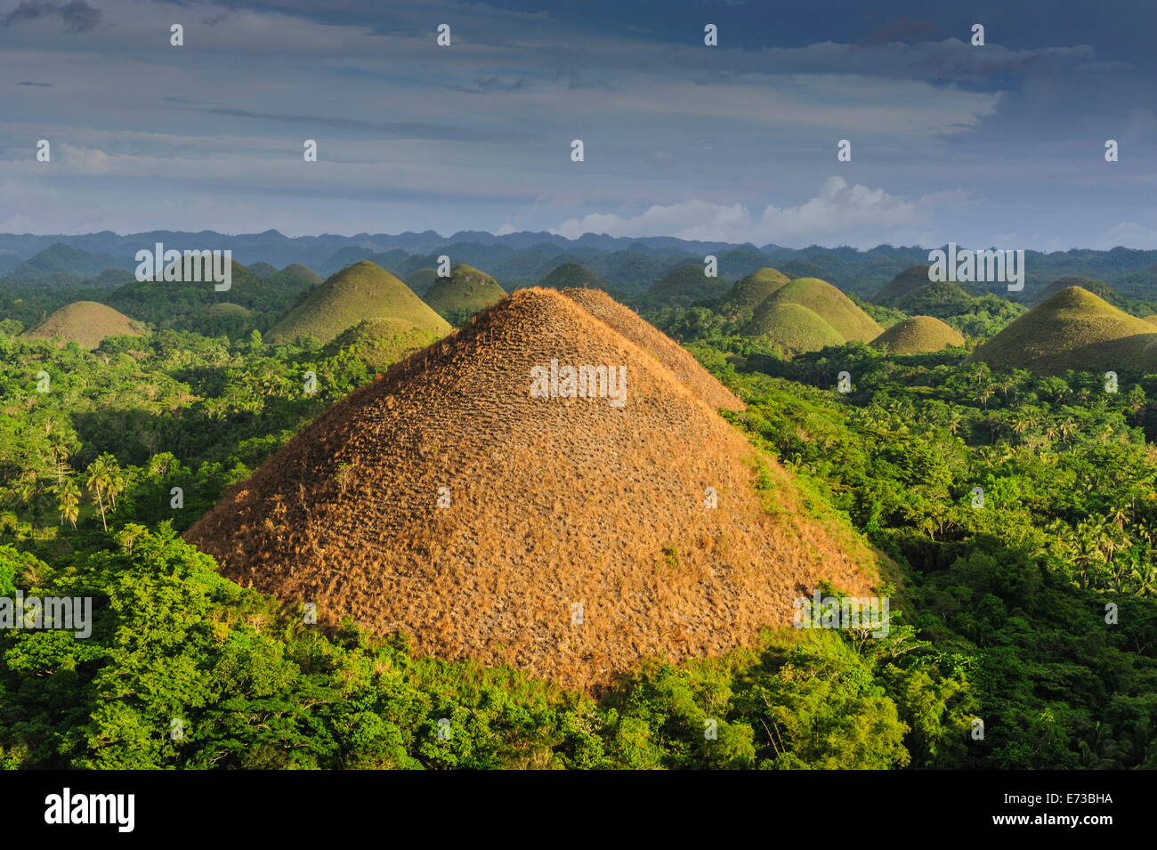 Chocolate Hills, Bohol, Filippine, Sud-est asiatico, in Asia Foto Stock