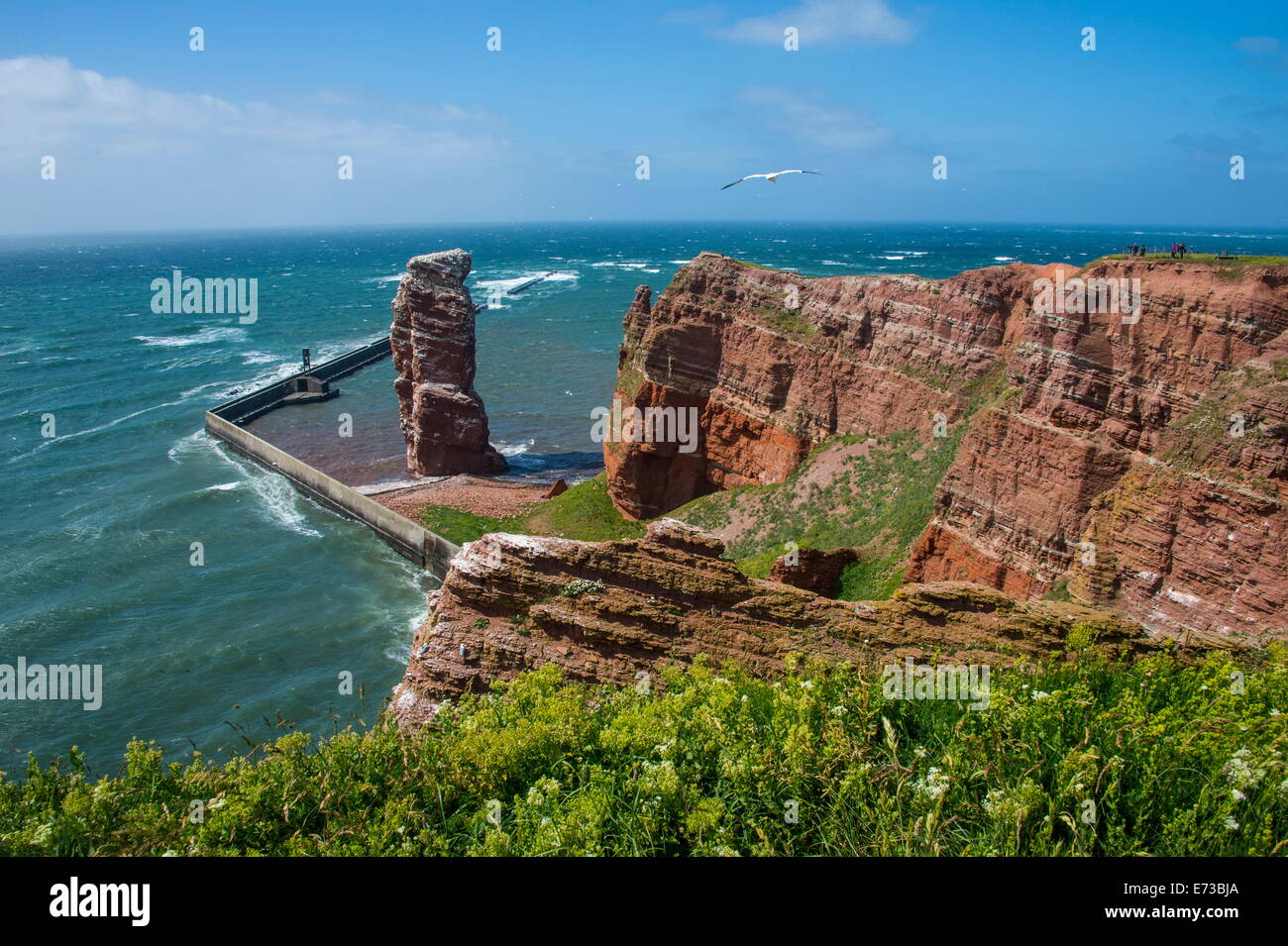 Lange Anna (Long Anna) free standing colonna di roccia in Isola di Helgoland, piccolo arcipelago tedesco nel Mare del Nord, Germania, Europa Foto Stock