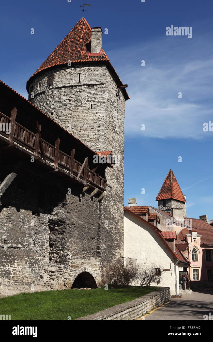 Torri Medioevali e le mura della città nella città vecchia di Tallin, patrimonio mondiale dell UNESCO, Estonia, Europa Foto Stock