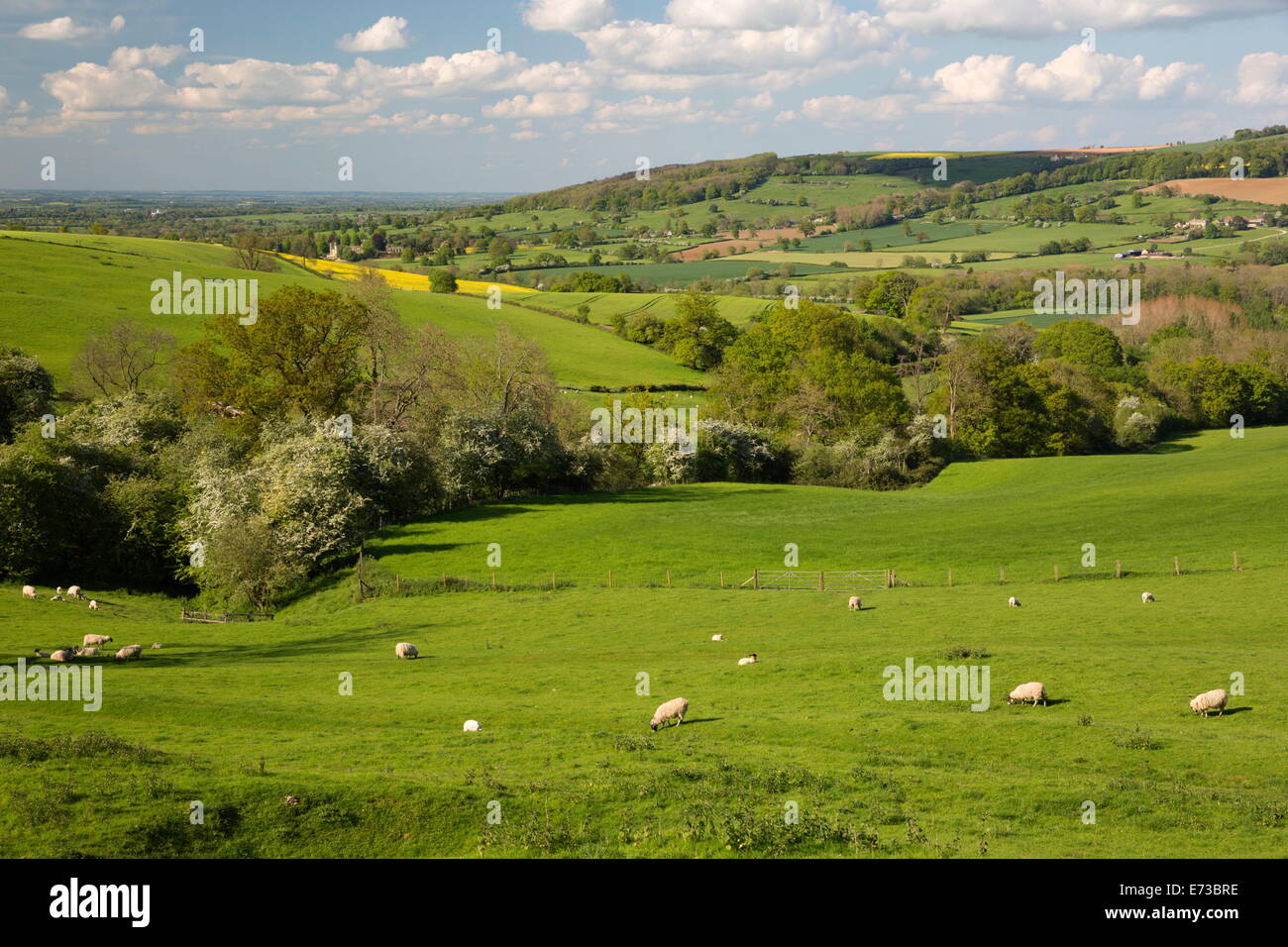 Cotswold paesaggio, nei pressi di Winchcombe, Cotswolds, Gloucestershire, England, Regno Unito, Europa Foto Stock