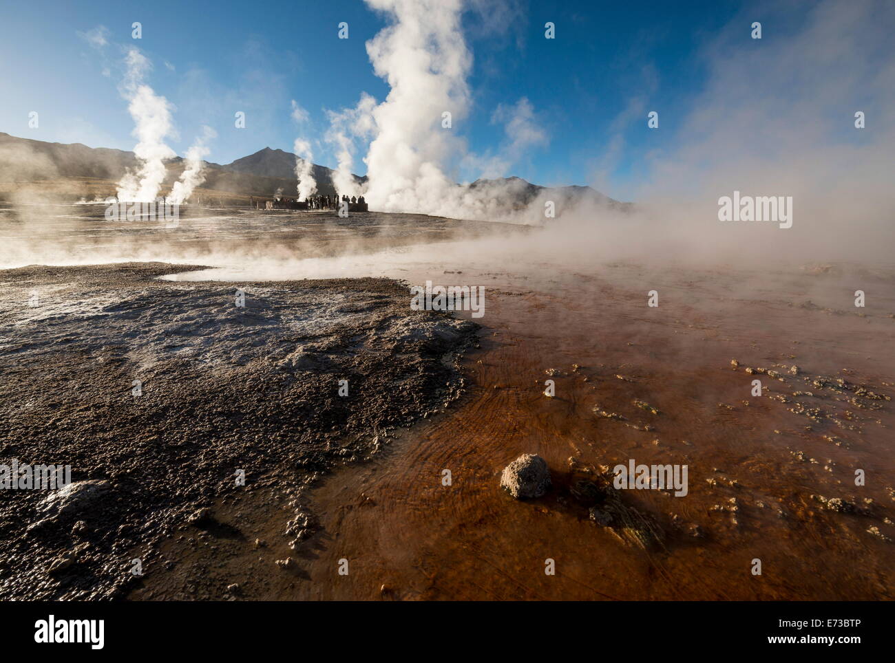 Tatio geyser, il Deserto di Atacama, El Norte Grande, Cile, Sud America Foto Stock