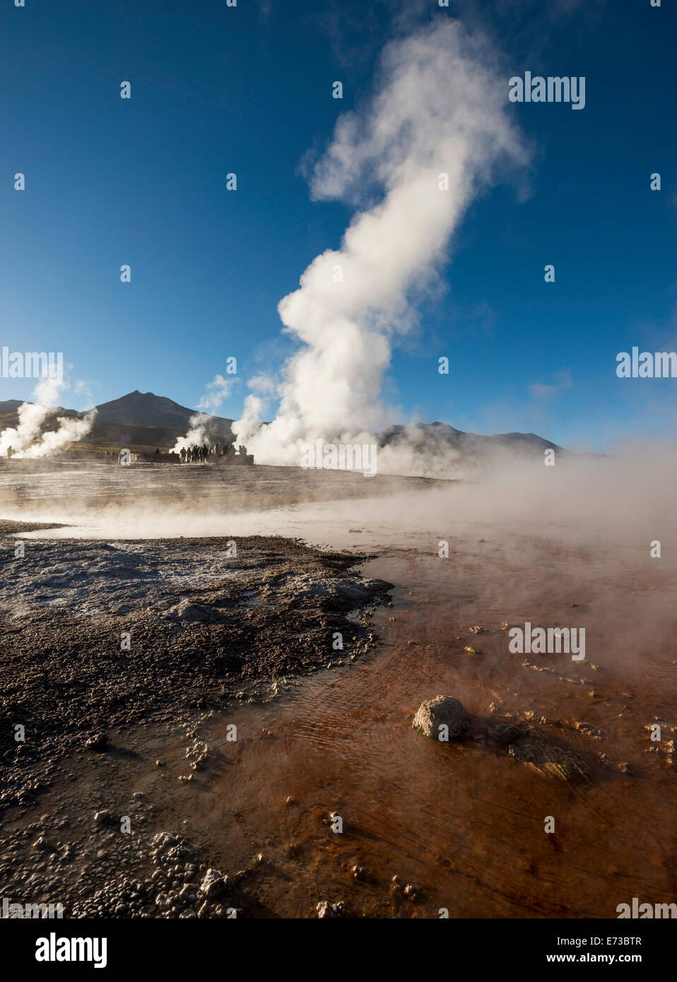 Tatio geyser, il Deserto di Atacama, El Norte Grande, Cile, Sud America Foto Stock