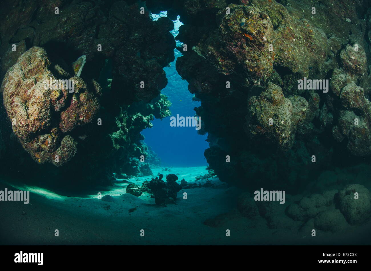 Coral substrato formando una grotta sottomarina, il Parco Nazionale di Ras Mohammed, Sharm El Sheikh, Mar Rosso, Egitto, Africa Settentrionale, Africa Foto Stock