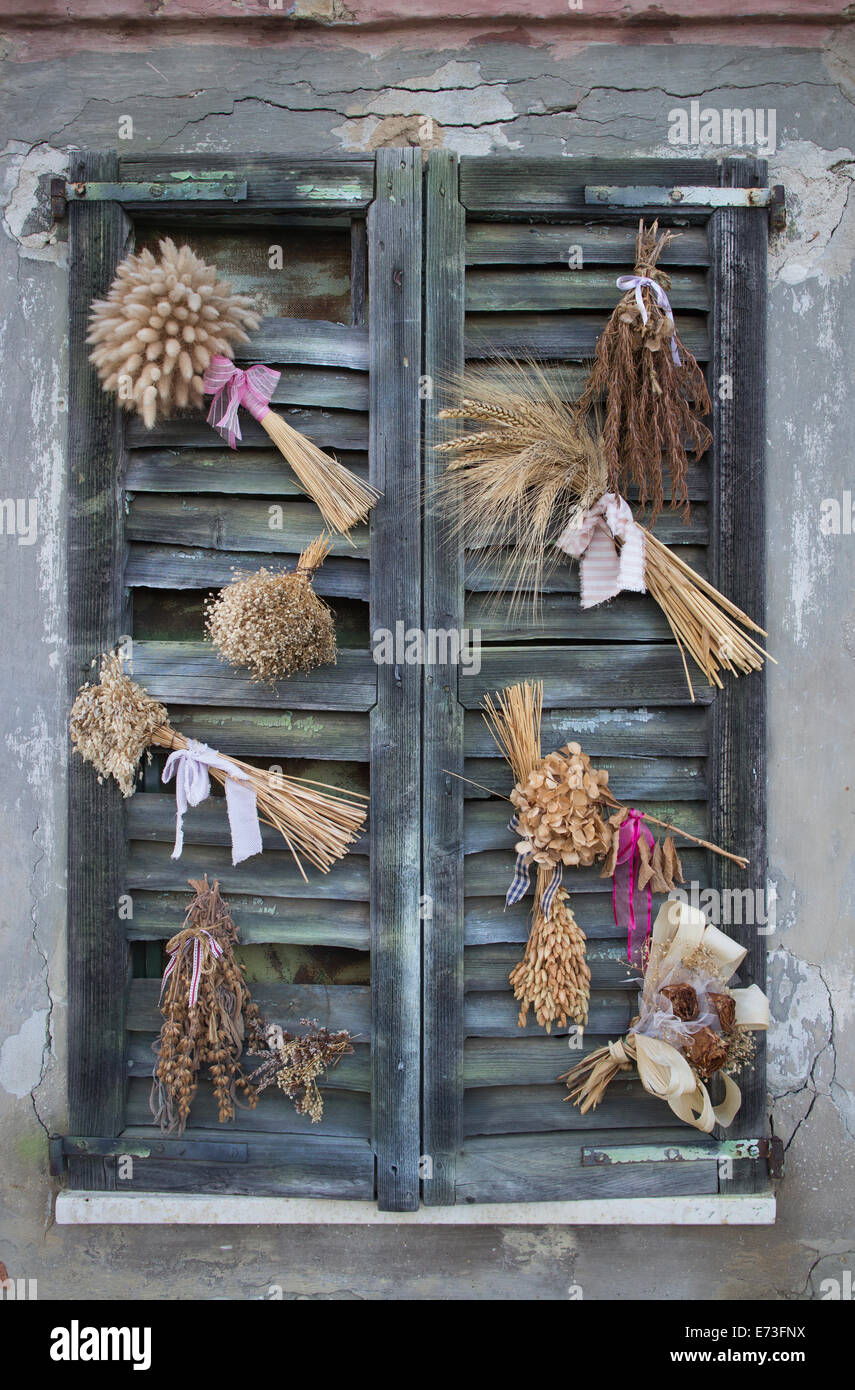 Persiane di legno su una vecchia casa italiana con fiori secchi attaccati Foto Stock