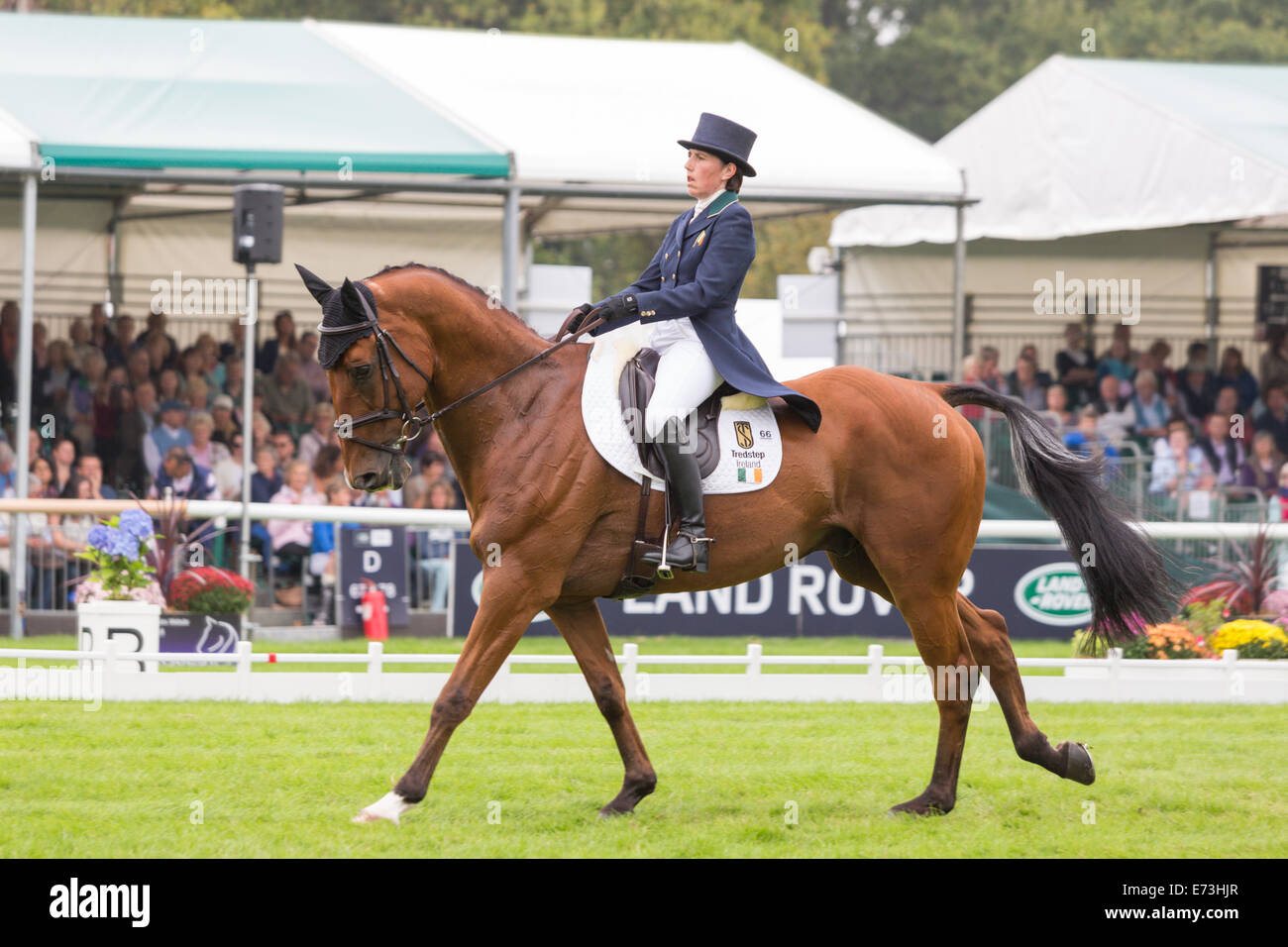 Stamford Lincs, Regno Unito. 5 Settembre, 2014. Sarah Wardell (IRL) riding KILLEENDUFF ragazzo nella sezione Dressage del Land Rover Burghley Horse Trials CCI*** 2014 Credit: qualsiasi fotografia4/Alamy Live News Foto Stock