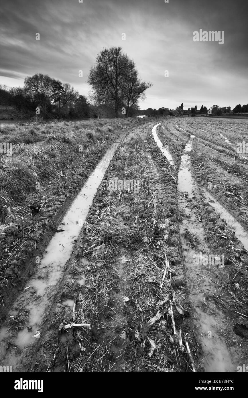 Giorno freddo sul fiume Wye herefordshire UK. Foto Stock