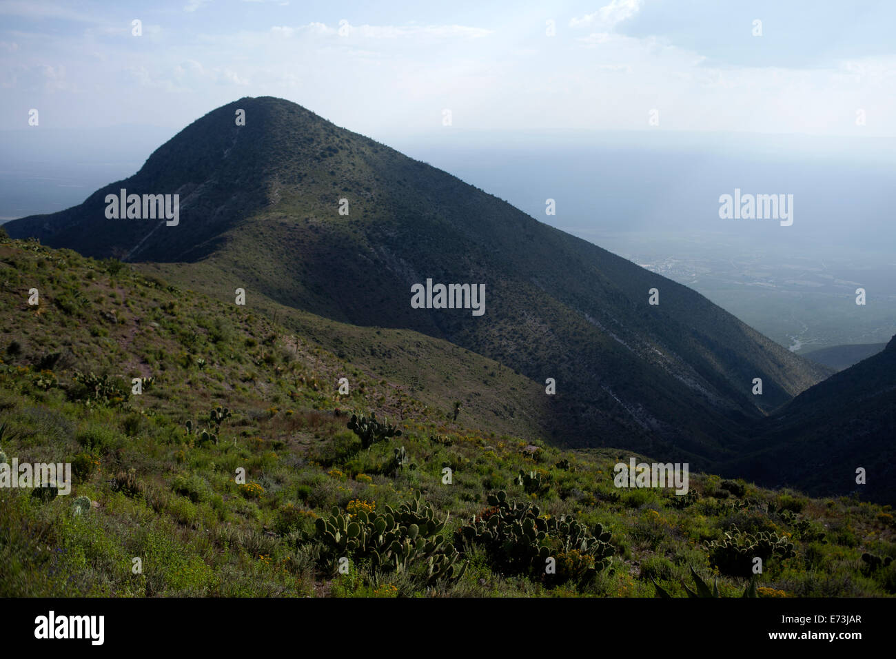 La stella luminosa collina in Wirikuta, Real de Catorce, San Luis Potosi, Messico, 24 luglio 2014. Foto Stock