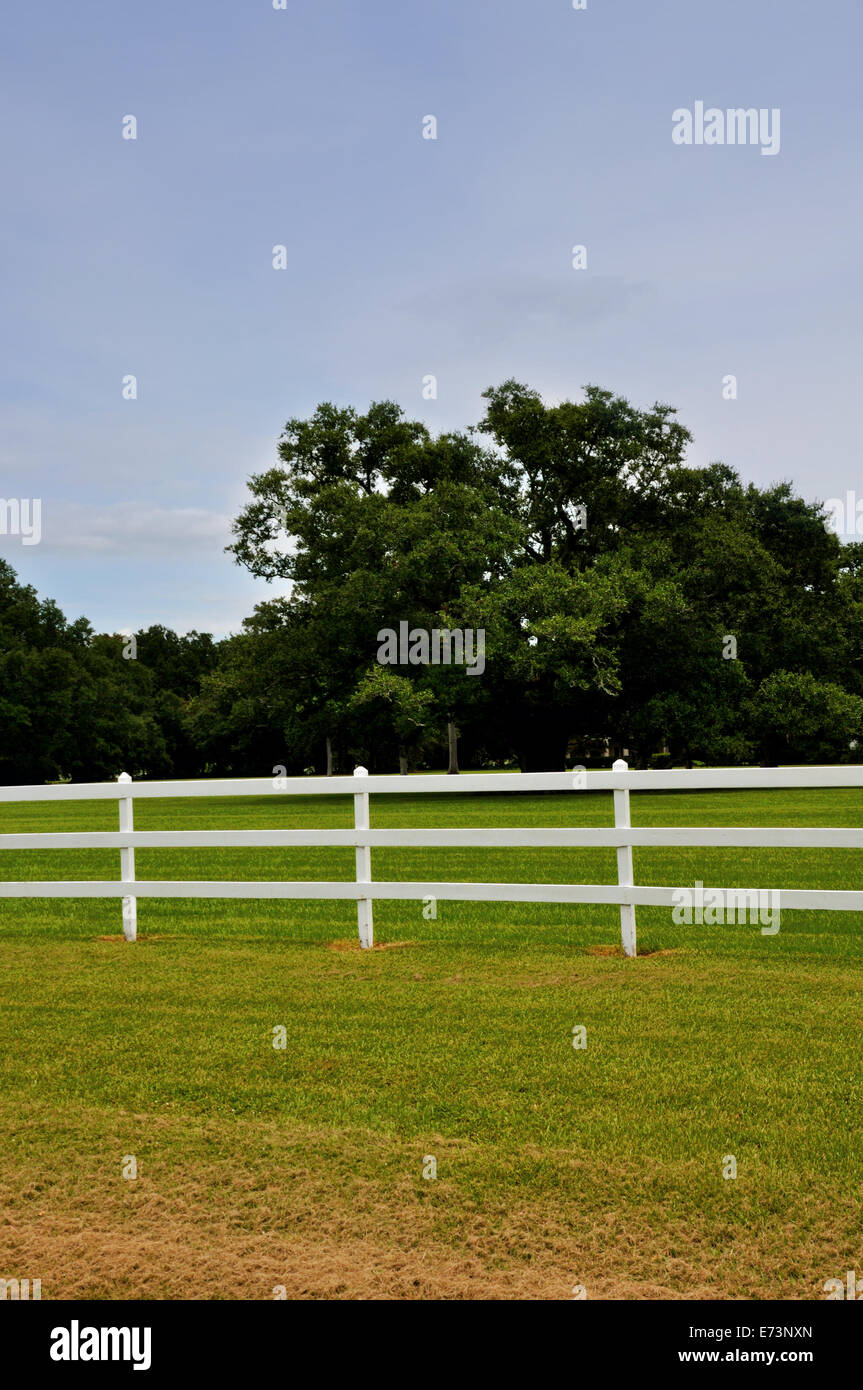 Recinzione bianco sul cavallo ranch Foto Stock