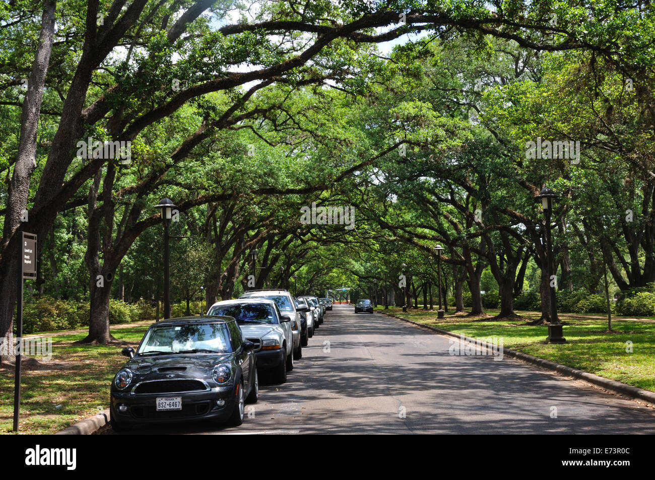 La Rice University di Houston, Texas Foto Stock