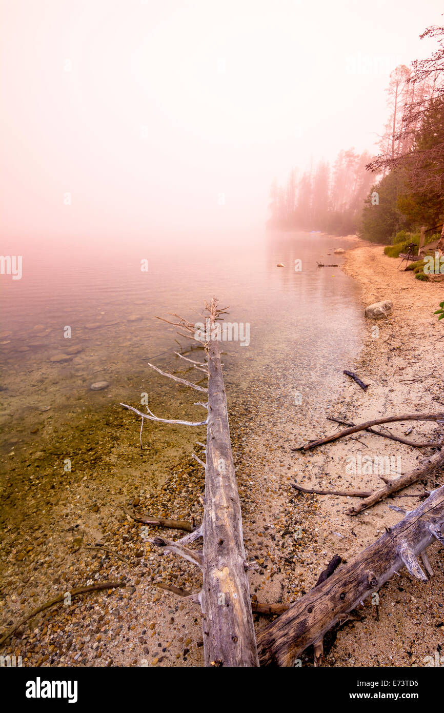 Mattinata nebbiosa sul Lago di Stanley Idaho Foto Stock
