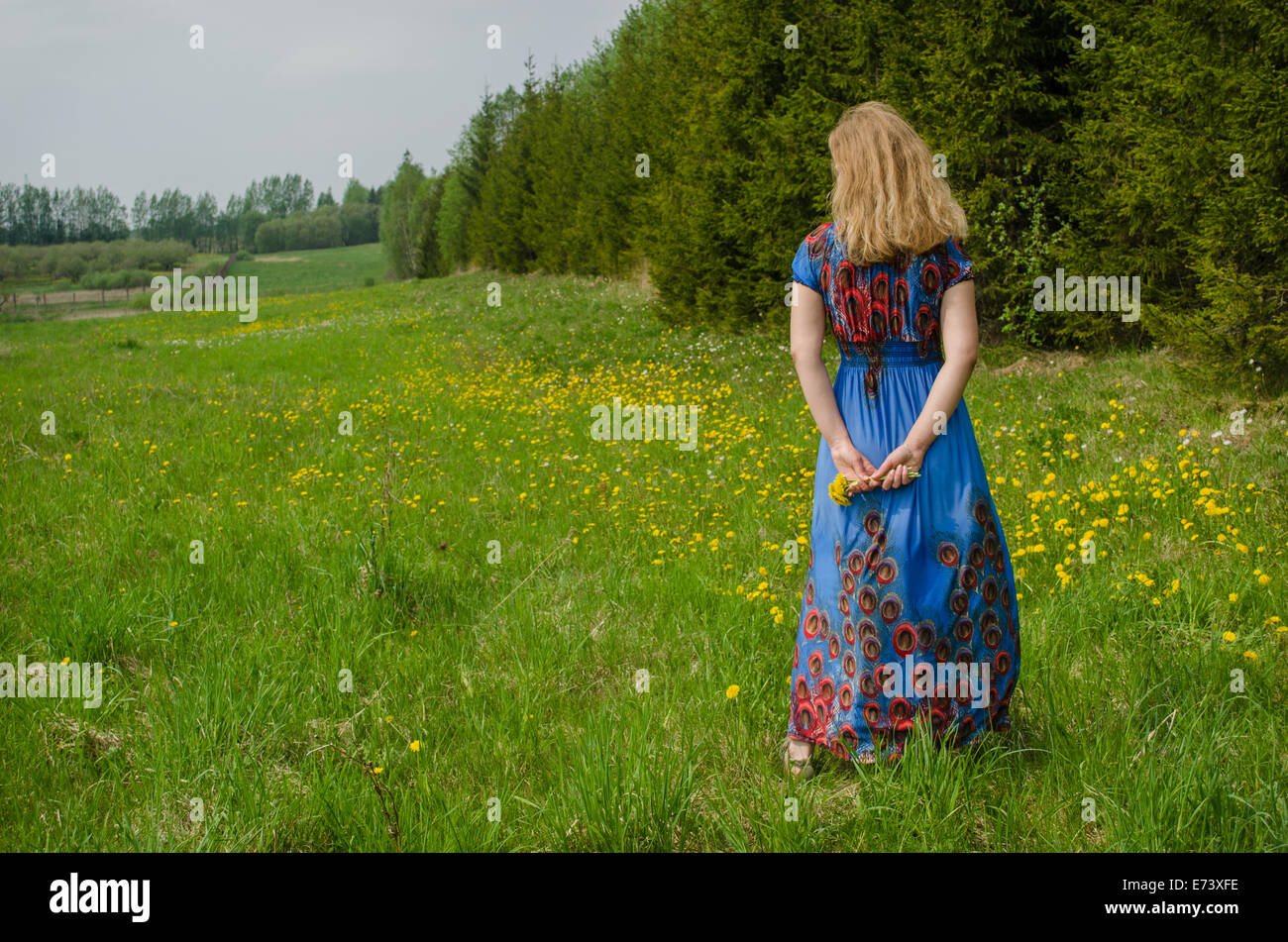 Ragazza con lungo abito fiorito in piedi indietro nel prato lungo la foresta, sowthistle in mani Foto Stock