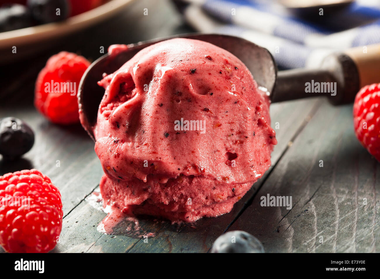 Organico in casa Berry sorbetto gelato pronto a mangiare Foto Stock