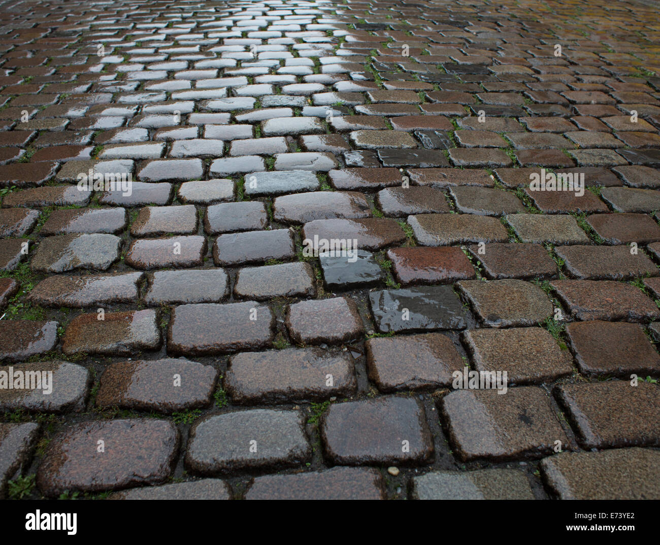 Wet cobblestone pavement Foto Stock
