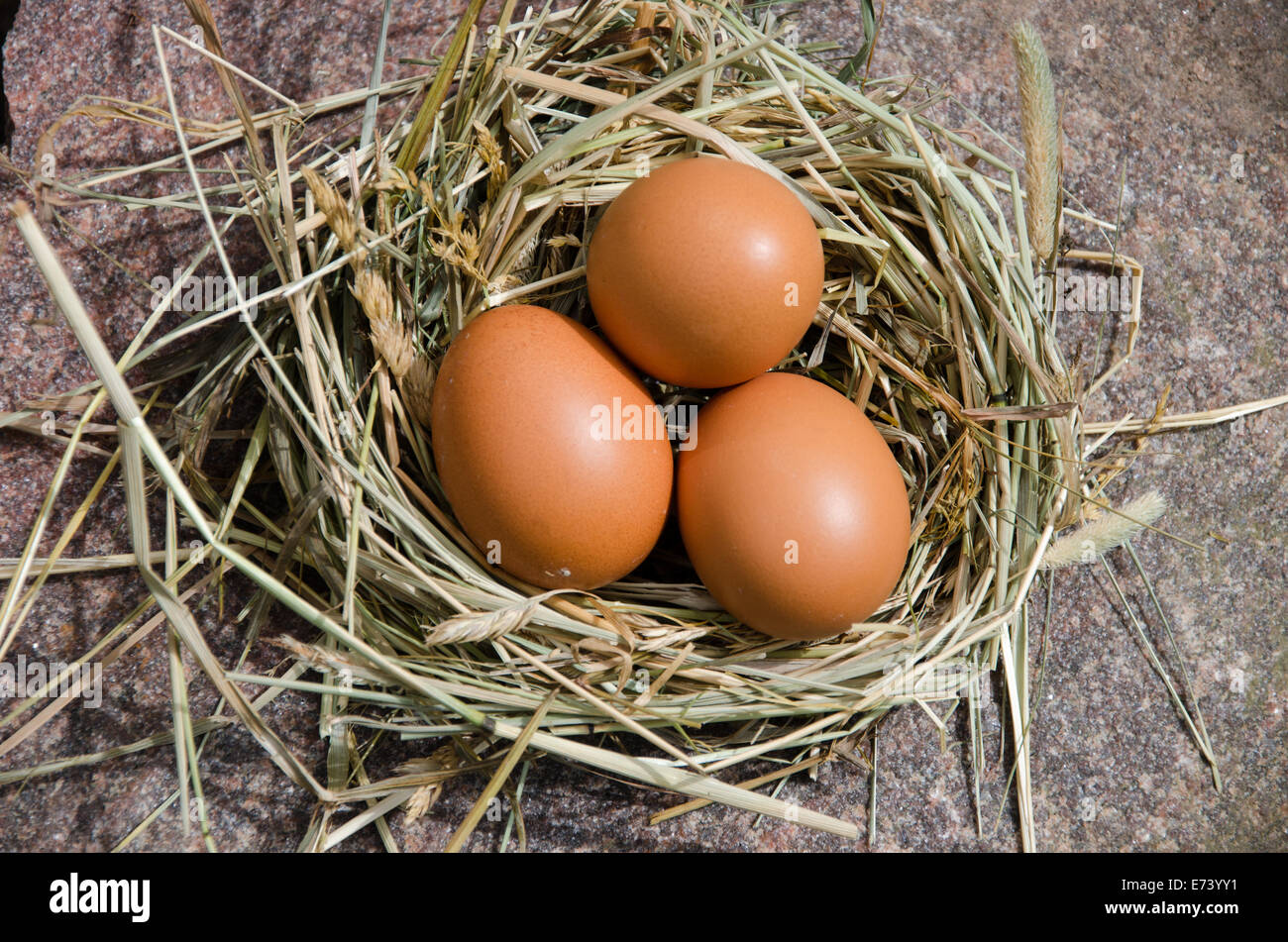 Tre le uova di gallina in nido di fieno su pietra all'aperto Foto Stock