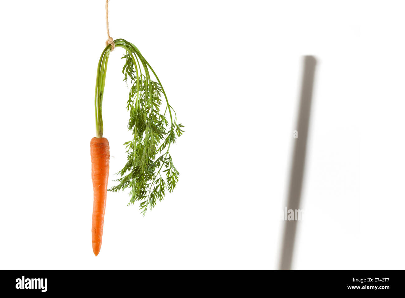 Ombra di un bastone e carota appesa su una stringa su uno sfondo bianco come un concetto di doppia motivazione Foto Stock
