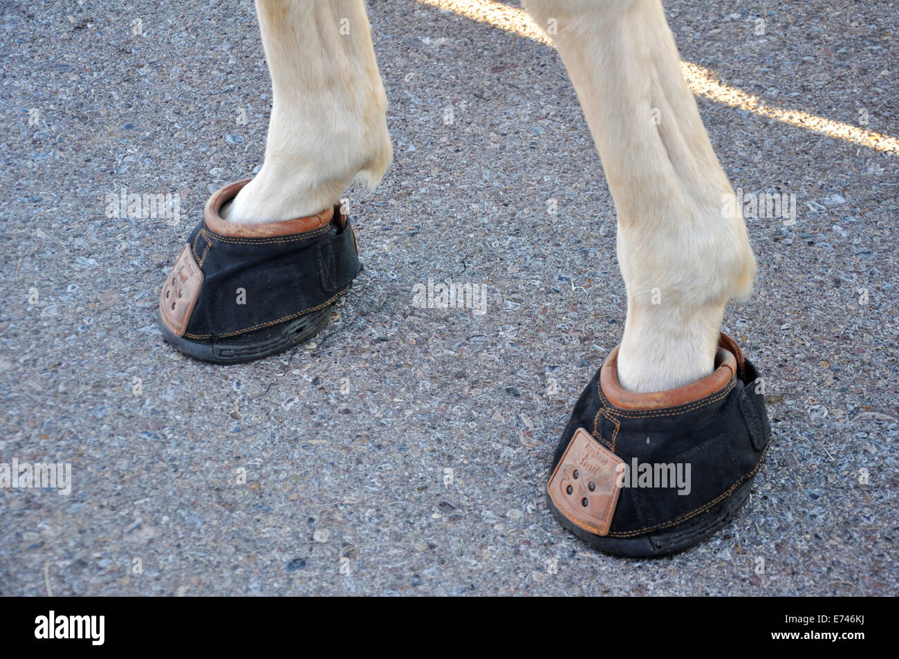 Zoccolo di cavallo stivali Foto stock - Alamy