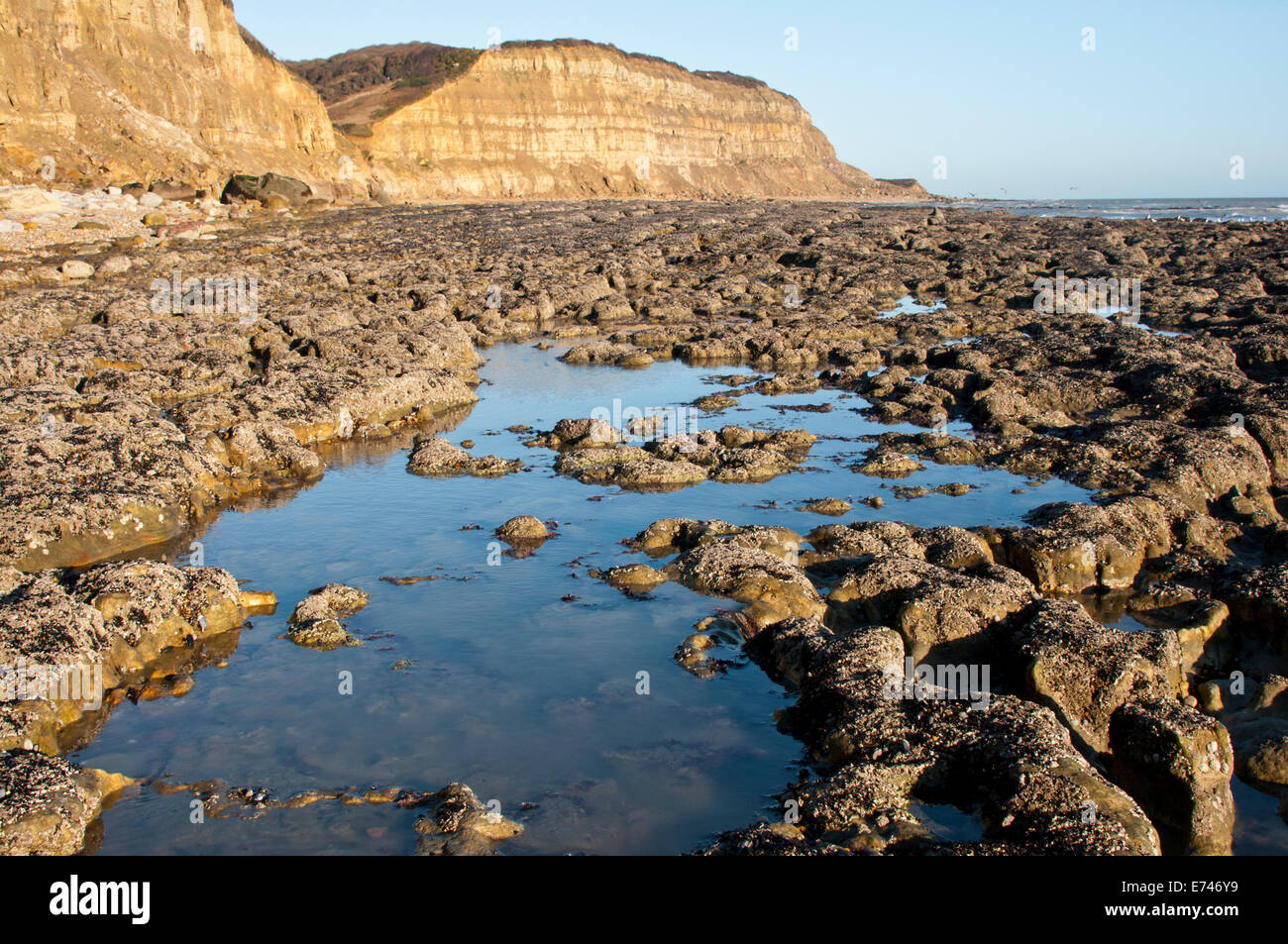 Attraverso la piattaforma di roccia e piscine di roccia guardando ad est verso la scogliera ad est di Hastings Foto Stock