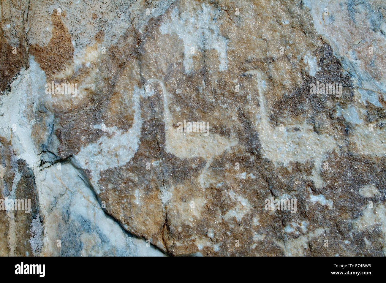 Scene di caccia su grandi uccelli, pittura Rock, rock Sagan-Zaba (White Rock) Lago Baikal, Siberia, Federazione russa Foto Stock