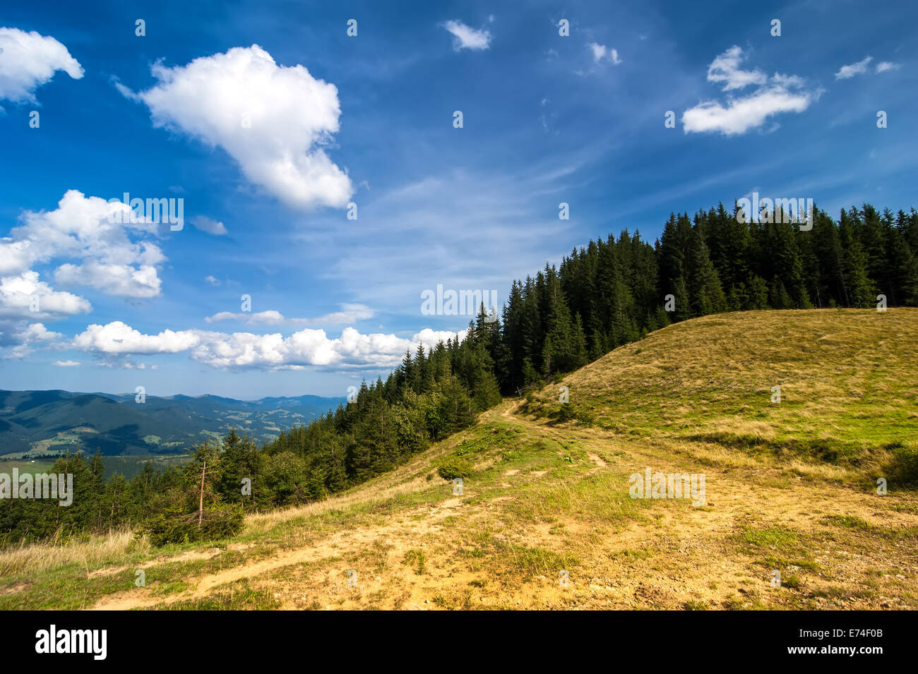 Incredibile paesaggio soleggiato con pino highland foresta ai Carpazi sotto il cielo blu. L'Ucraina destinazioni di viaggio e b Foto Stock