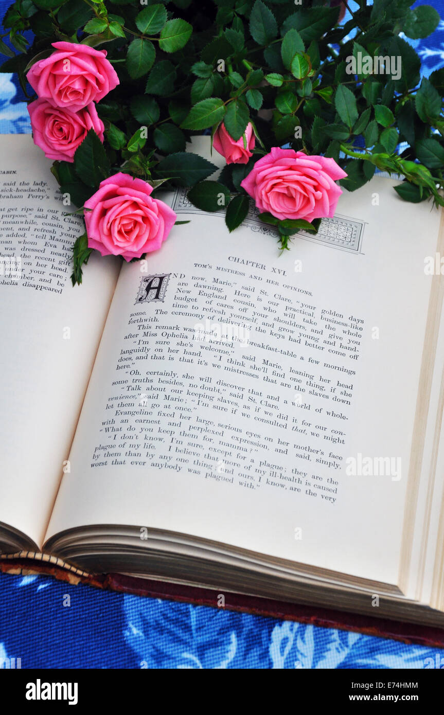 Vecchio libro e le rose Foto Stock