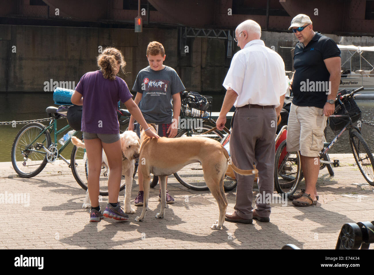 I cani si incontrano in corrispondenza del Canale Erie. Foto Stock