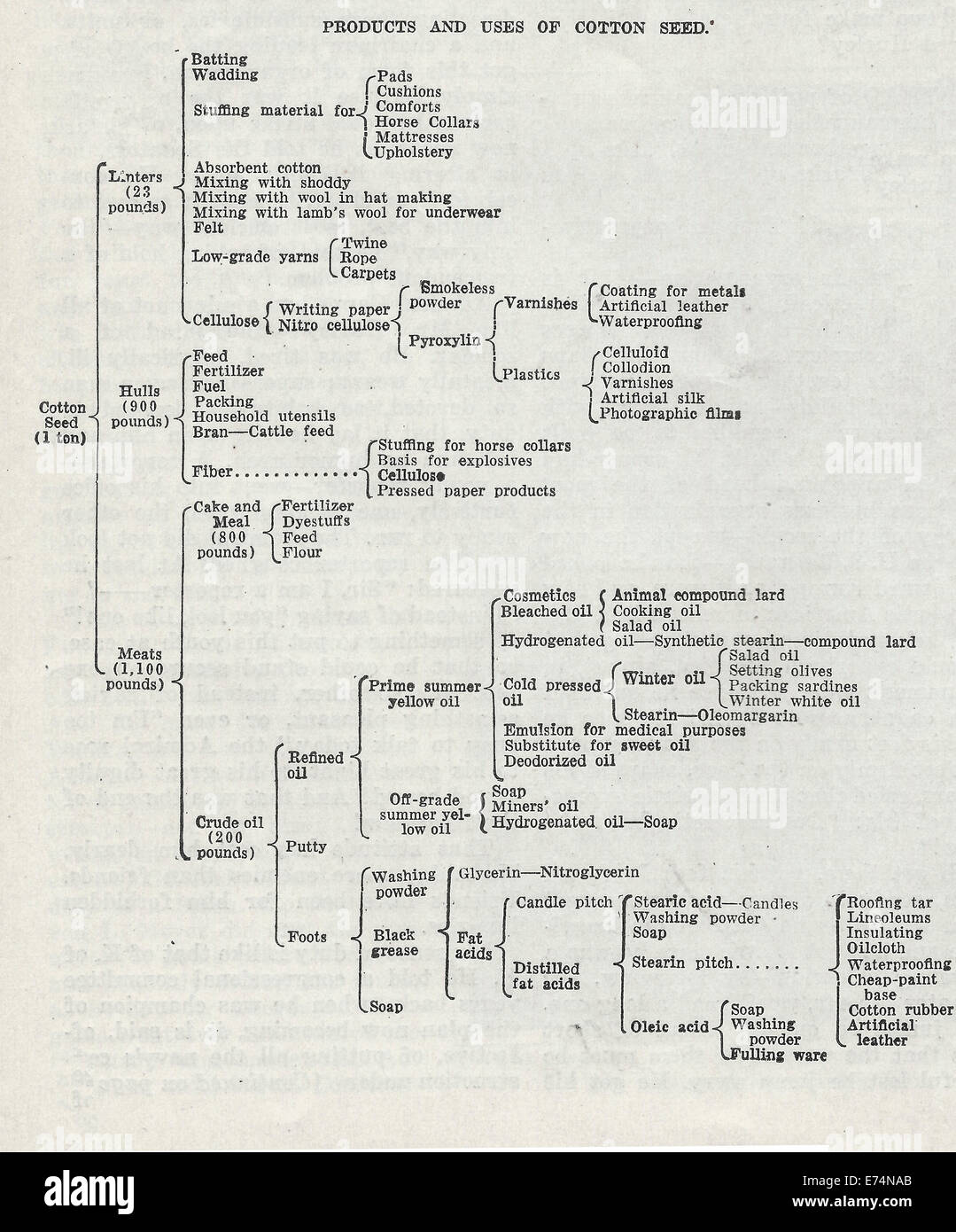 La tabella per i prodotti e gli usi dei semi di cotone, circa 1918 Foto Stock