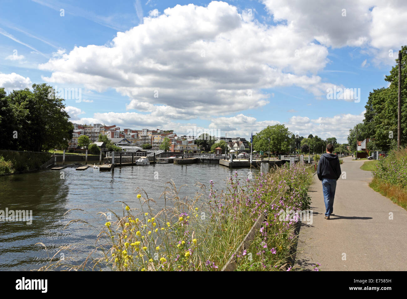 Il fiume il Tamigi a Teddington Lock London REGNO UNITO Foto Stock