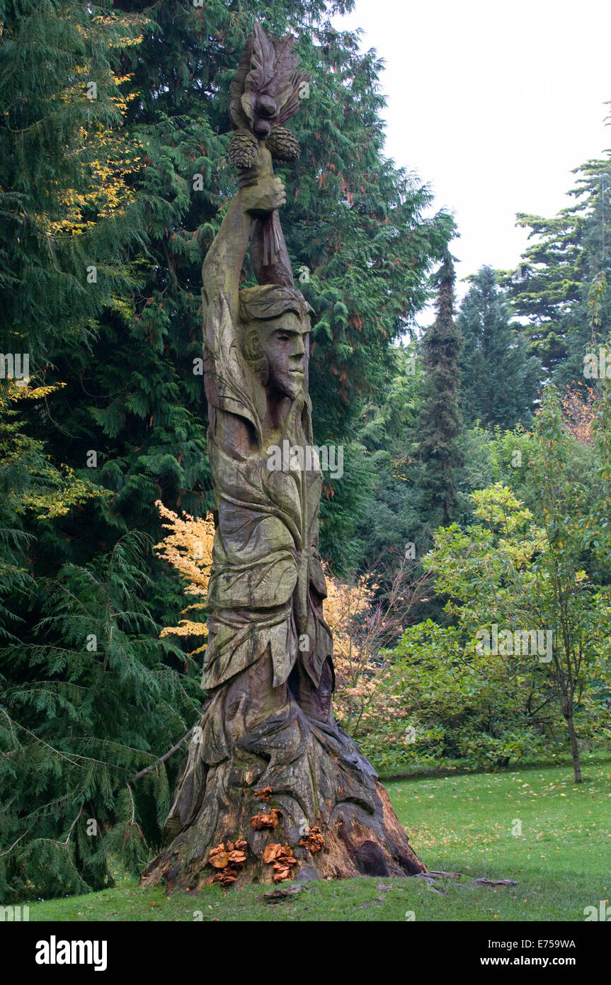 Lee Dickson la scultura di uno degli originali 12 Giant Redwoods portato oltre al Regno Unito nel 1850, Giardini Botanici Bath Spa Foto Stock