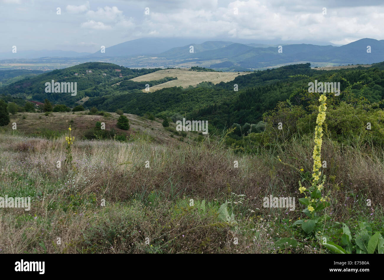 Cercare di Vitosha e Stara montagna da Lulin attraverso la montagna estate, Bulgaria Foto Stock