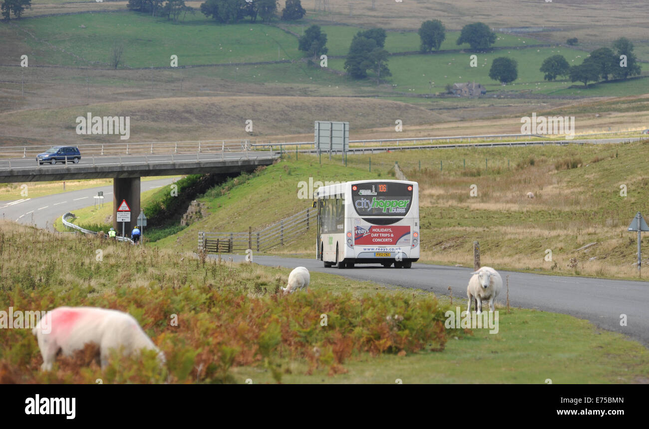 Rurale servizio bus viaggiano lungo la strada nei pressi di Shap nel distretto del lago RE COUNTRY LIVING trasporti servizi pubblici di autobus granturismo Foto Stock