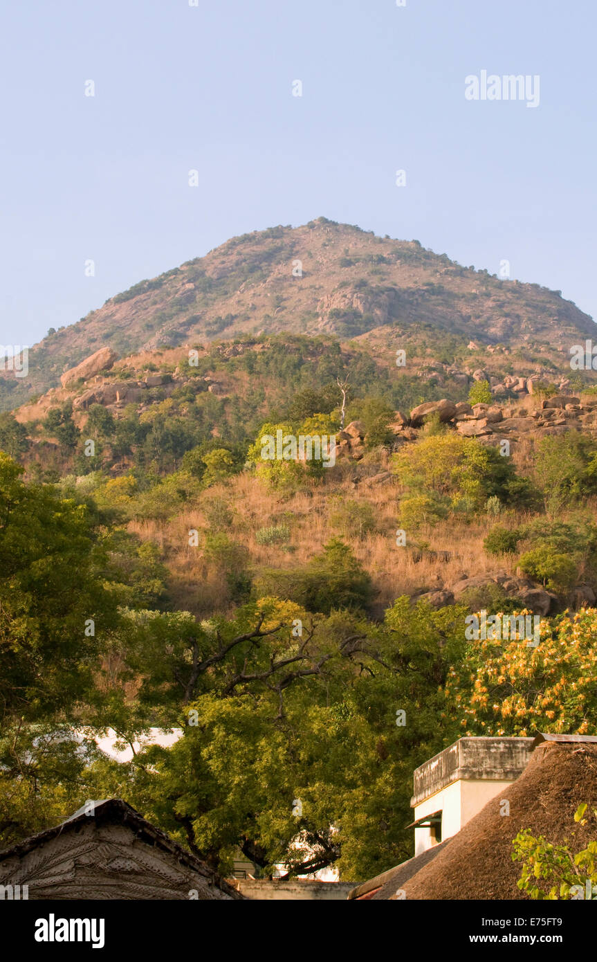Arunachala Montagna Sacra visto dal tempio motivi in Sri Ramana Maharshi Ashram Arunachala Hill Tiruvannamalai Tamil Nadu Foto Stock