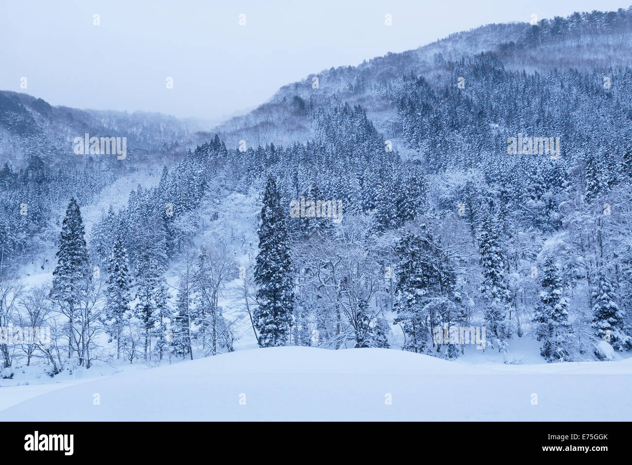 Daki kaeri valley in inverno Foto Stock