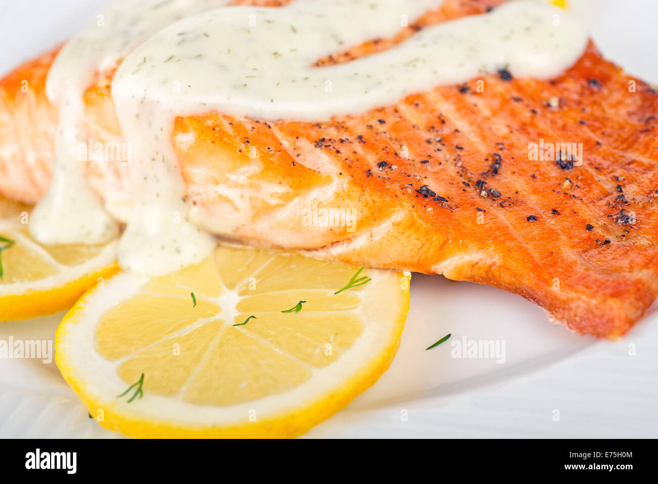 Filetto di salmone alla griglia con aneto e salsa di limone Foto Stock