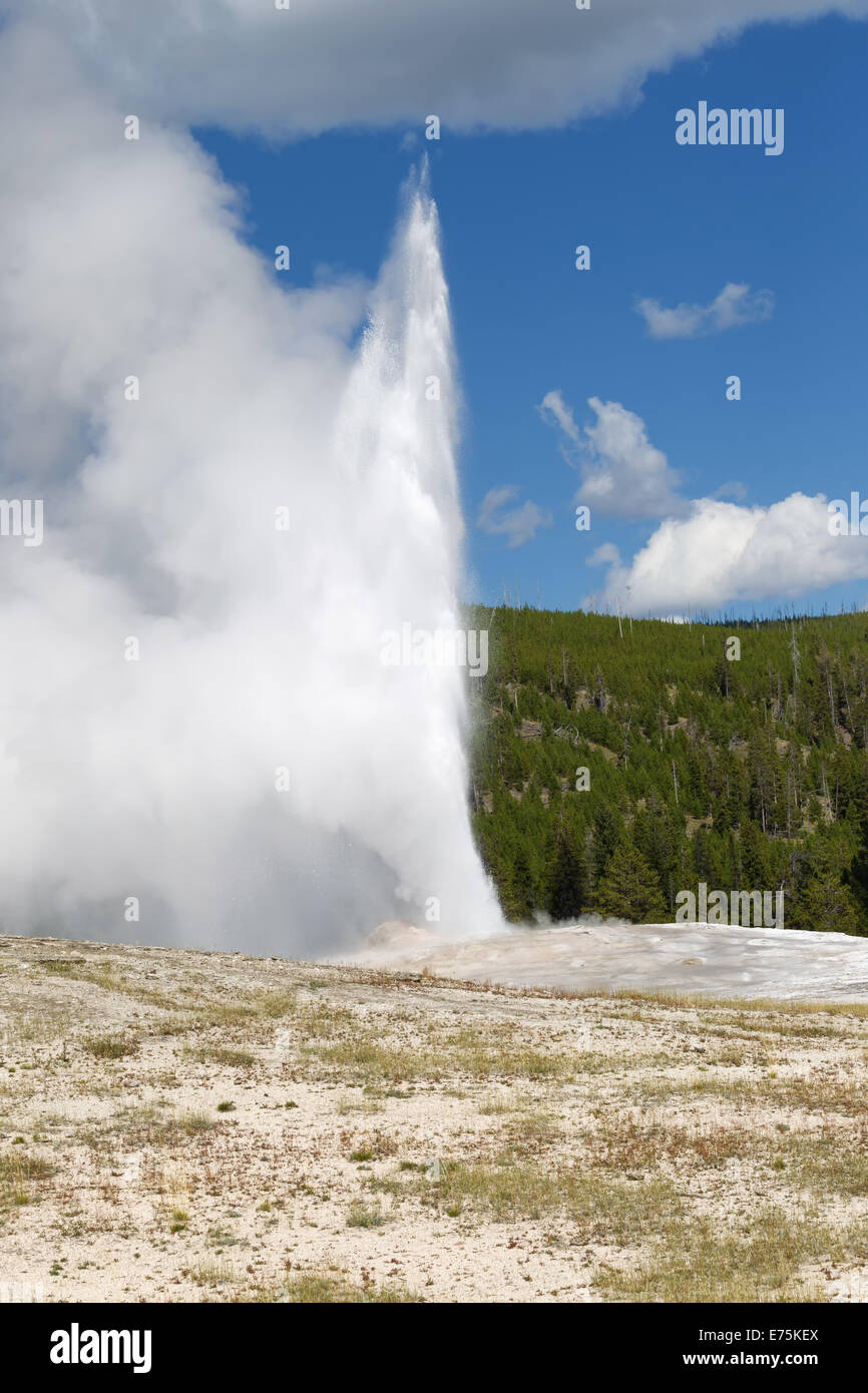 L'immagine verticale di geyser Old Faithful scoppierà a pieno vapore con cielo blu e nuvole in background Foto Stock