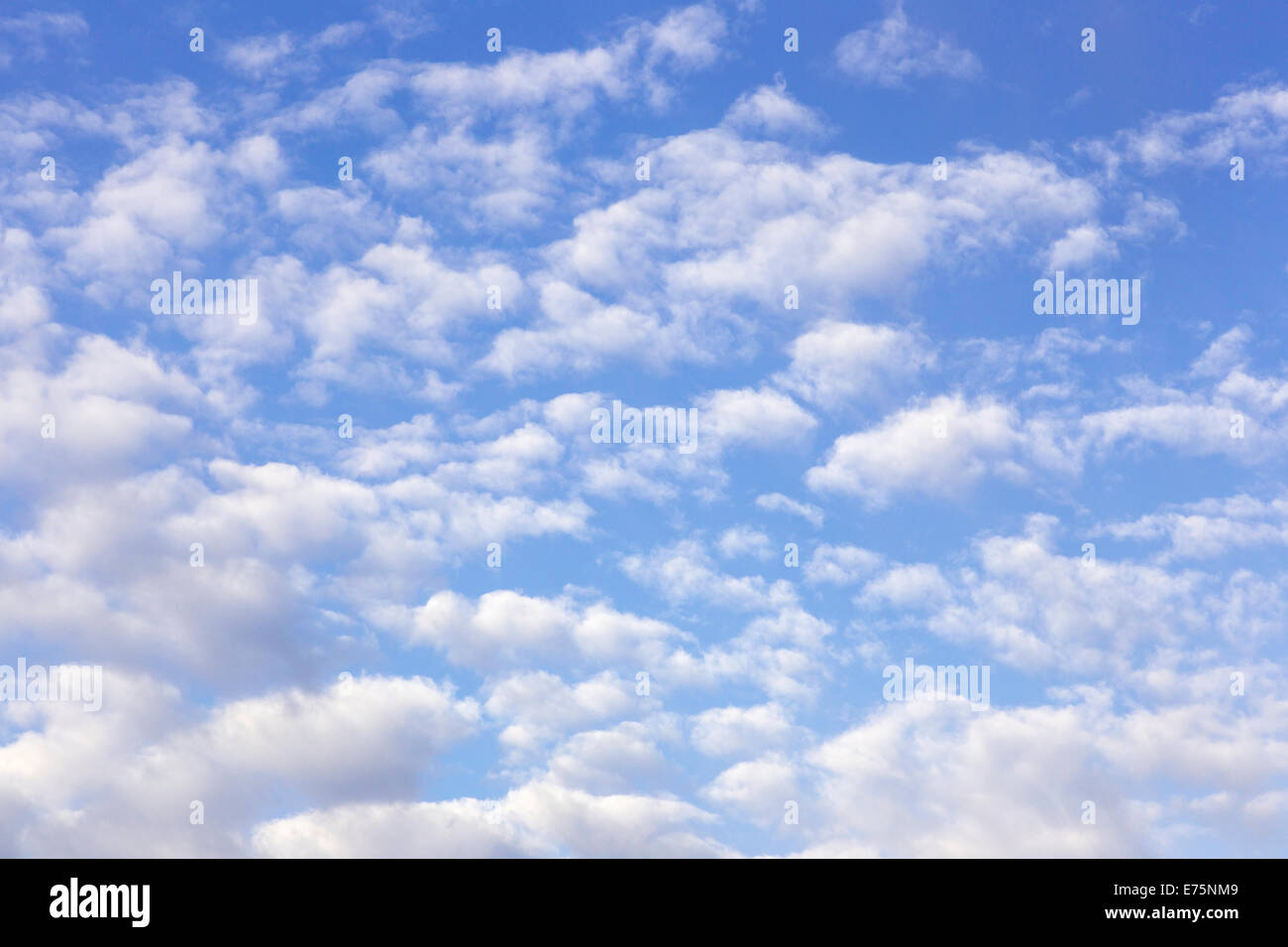 Nubi cumuliformi Foto Stock