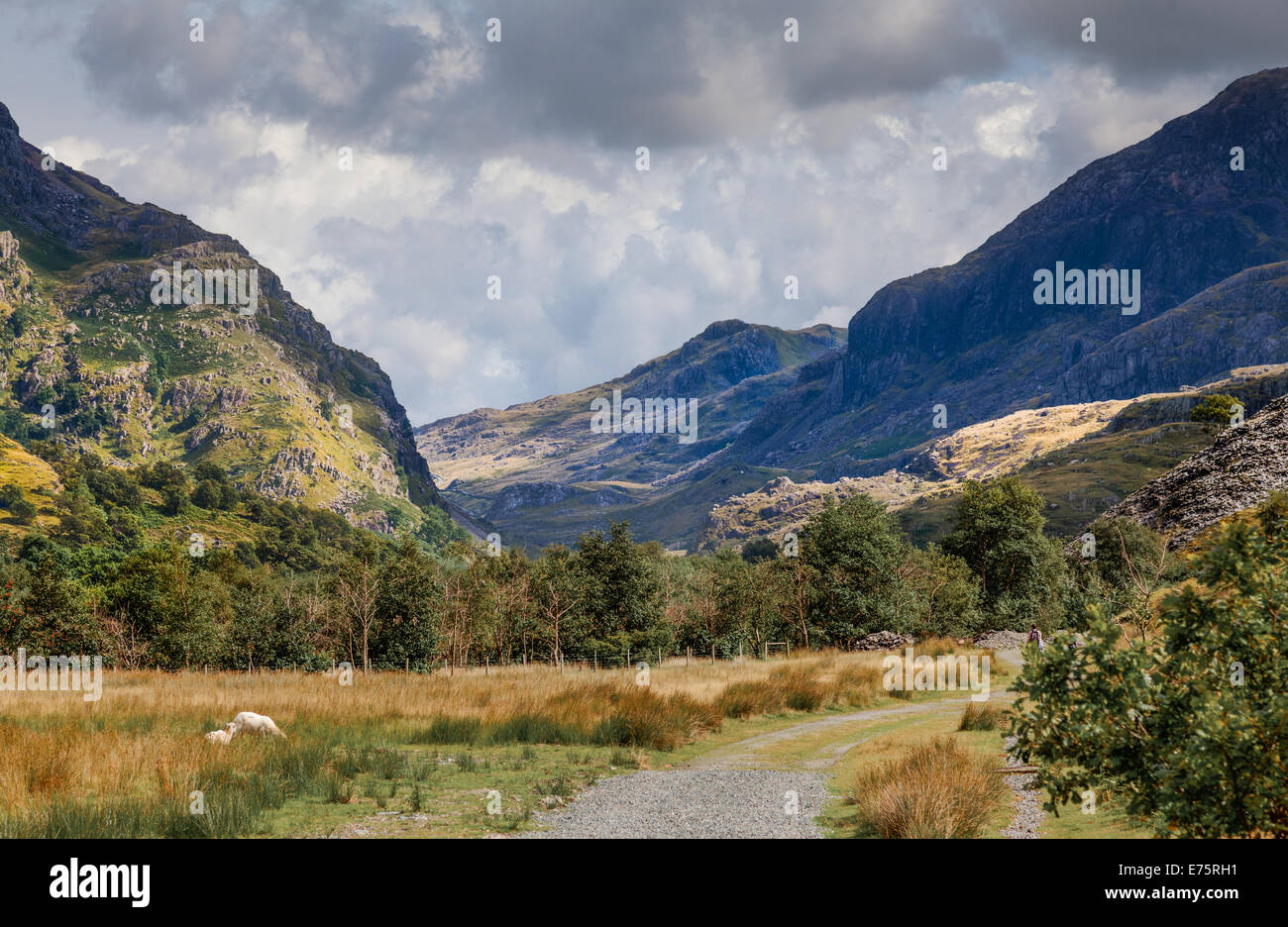 Welsh montagne e vista sulla campagna Foto Stock