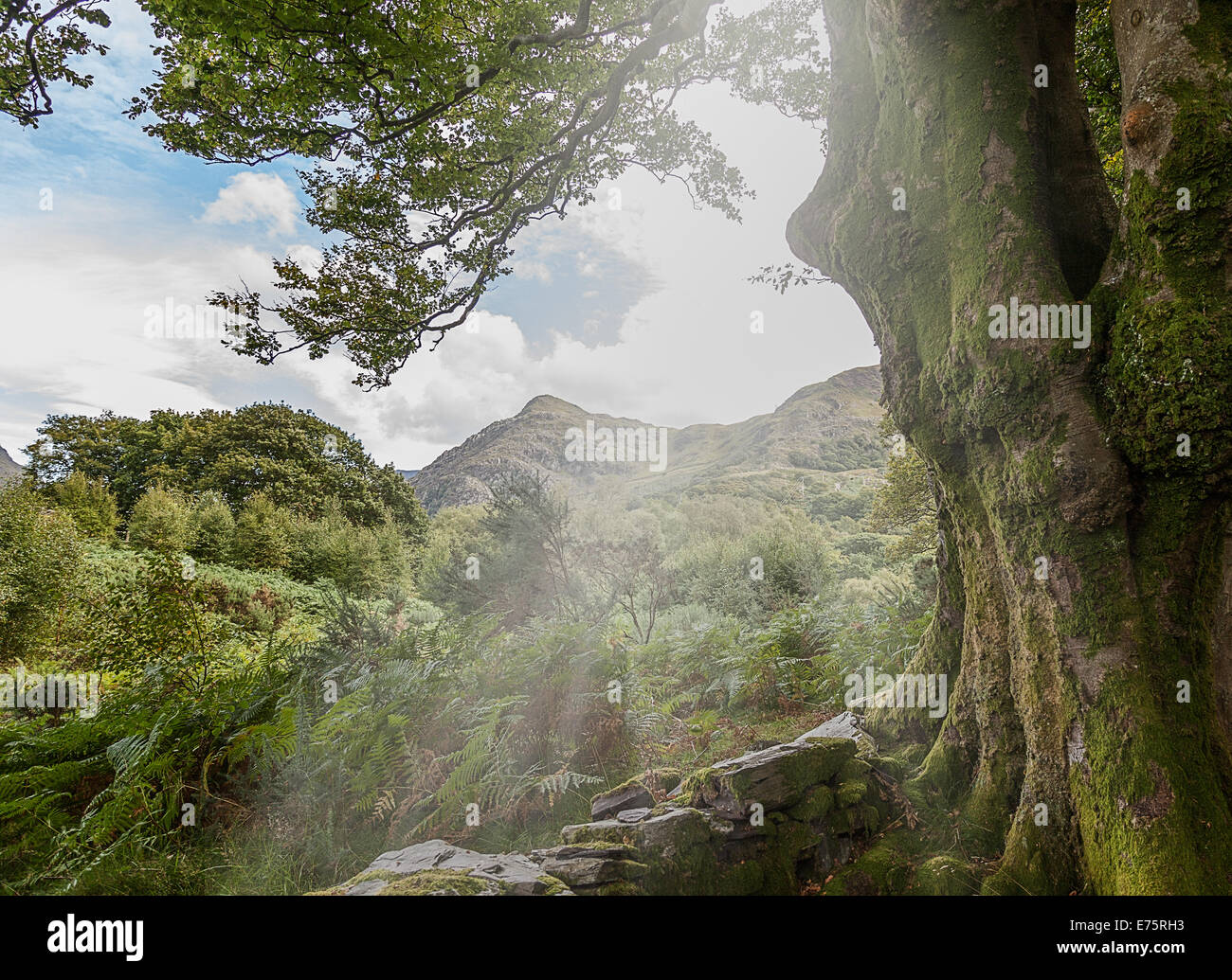 Welsh montagne e vista sulla campagna Foto Stock