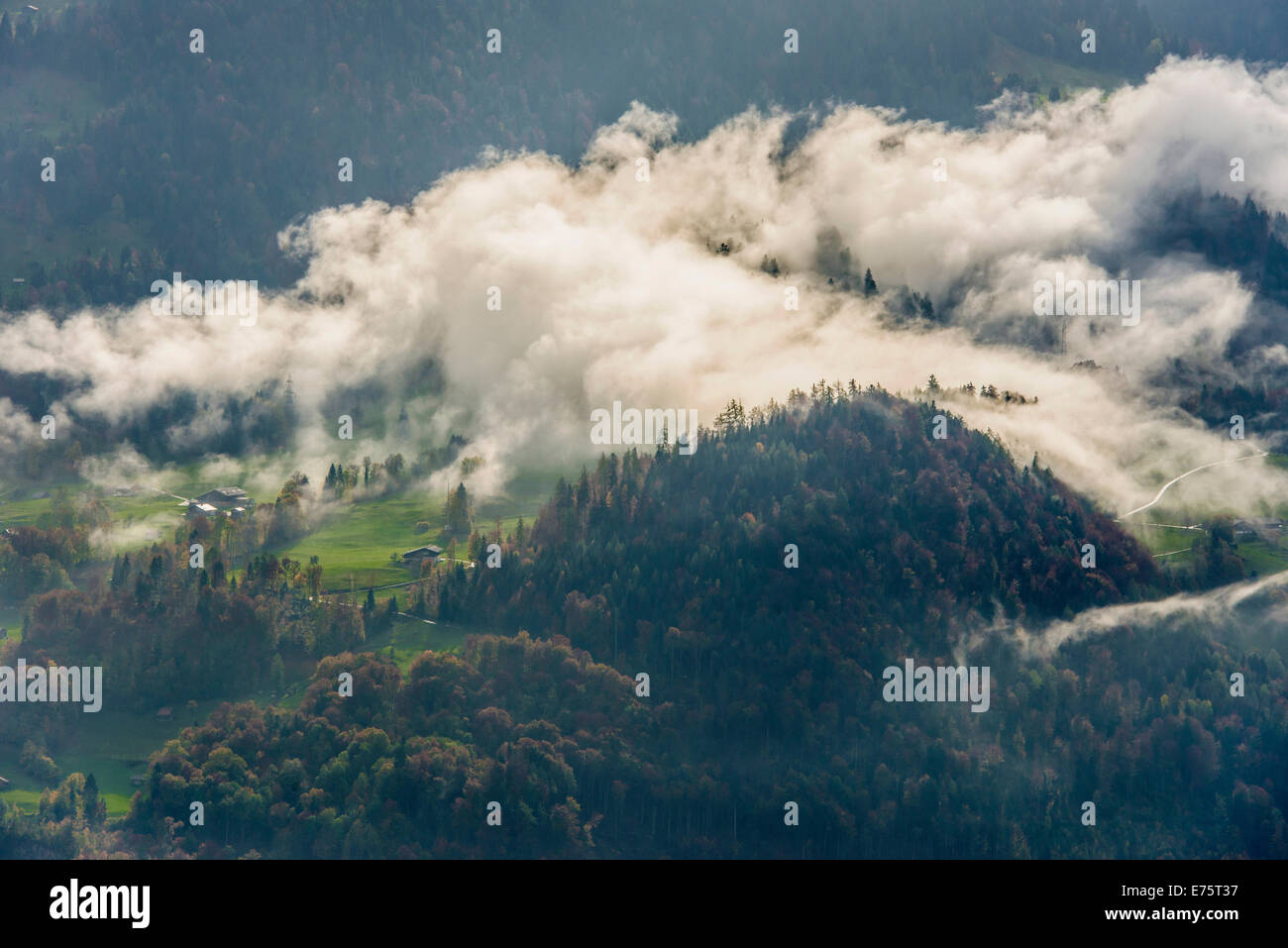 Prati e una foresta di nuvole, Beatenberg, Oberland bernese, Canton Berna, Svizzera Foto Stock