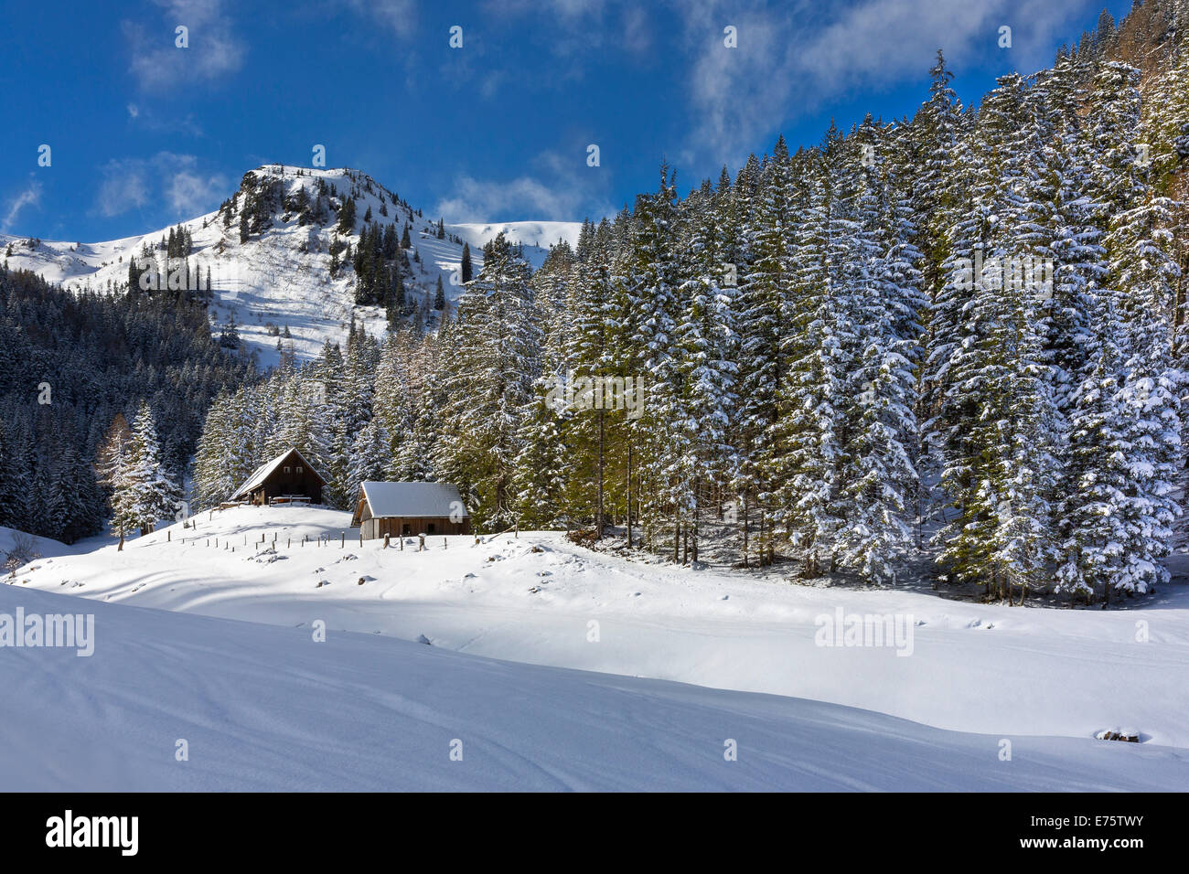 Breitenberger Alm alp vicino al picco Blaseneck, Johnsbach Eisenerzer Alpen montagne, Stiria, Austria Foto Stock