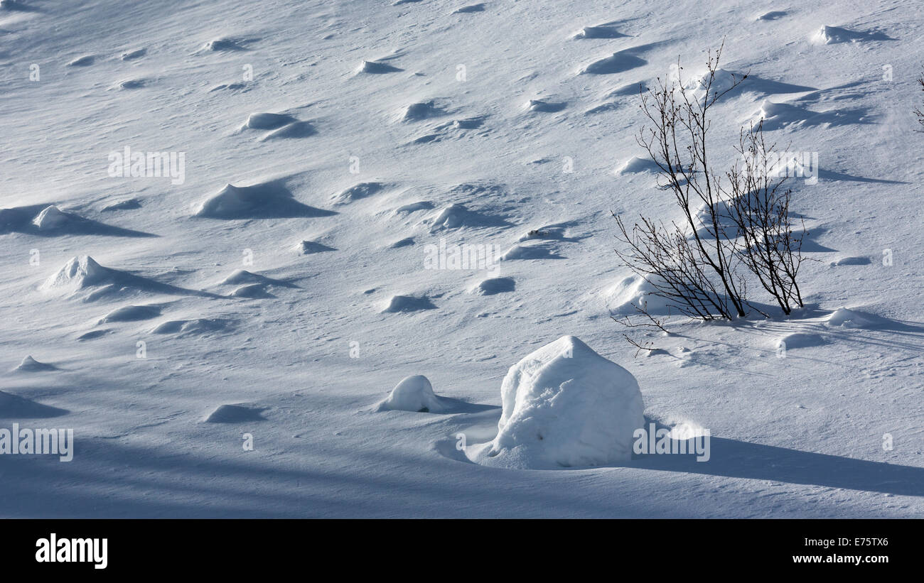 Paesaggio Innevato, Eisenerzer Alpen montagne, Stiria, Austria Foto Stock