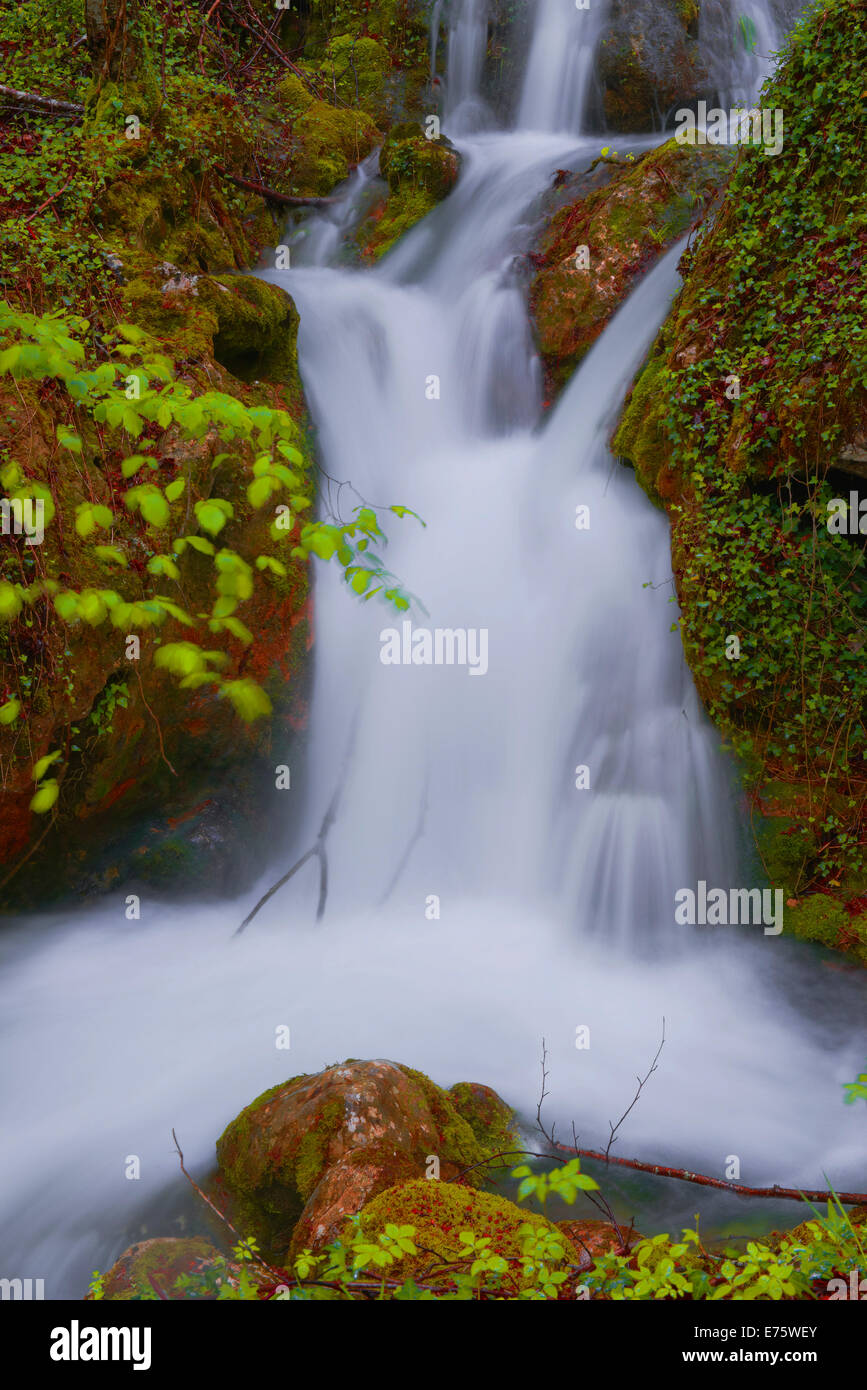 Urederra River, Urbasa-Andia parco naturale, Baquedano, Navarra, Spagna Foto Stock