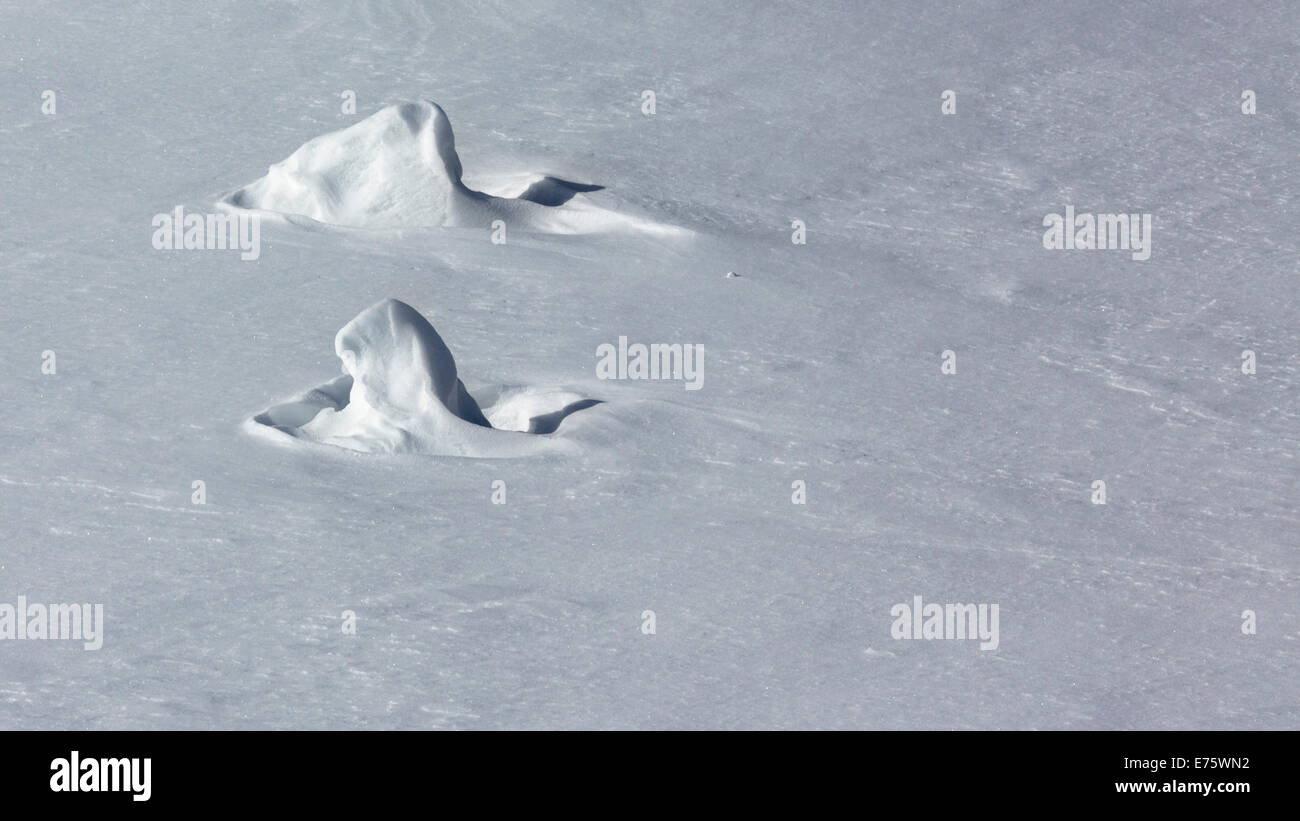 Sculture di Neve, Eisenerzer Alpen montagne, Stiria, Austria Foto Stock