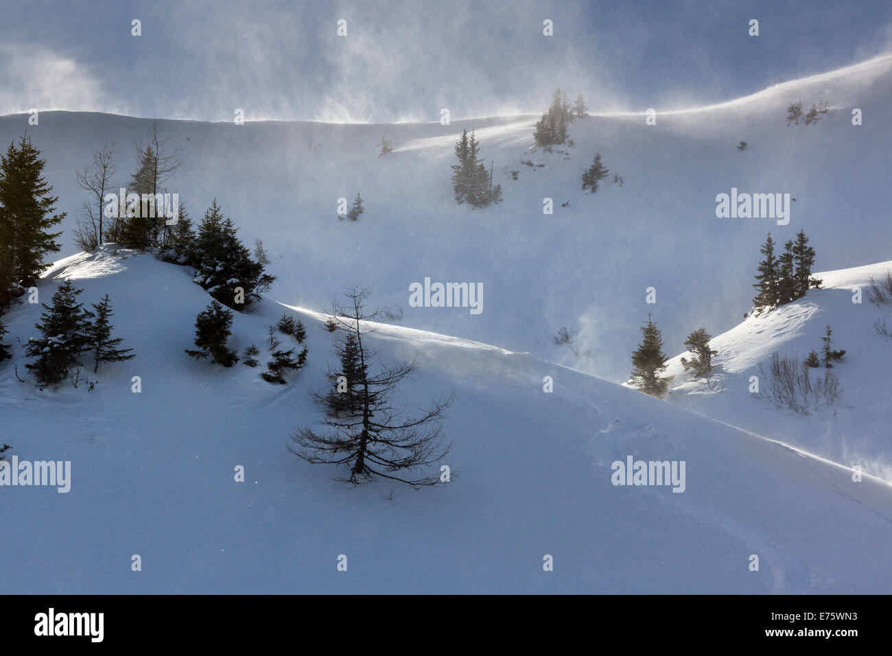 Vento sul picco Blaseneck, Eisenerzer Alpen montagne, Stiria, Austria Foto Stock