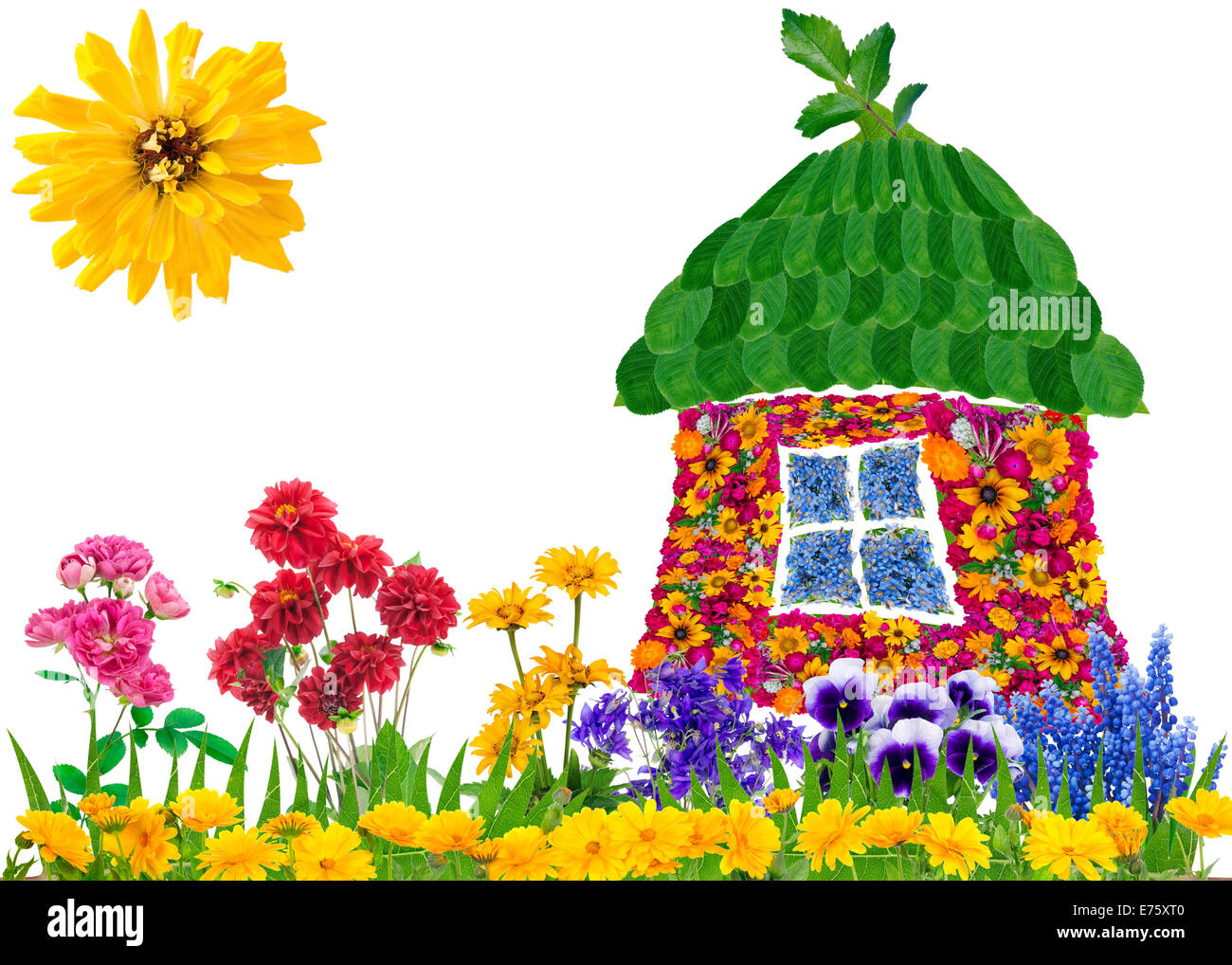 Floral eco casa concetto collage fatto da estate fiori e foglie. Isolato Foto Stock