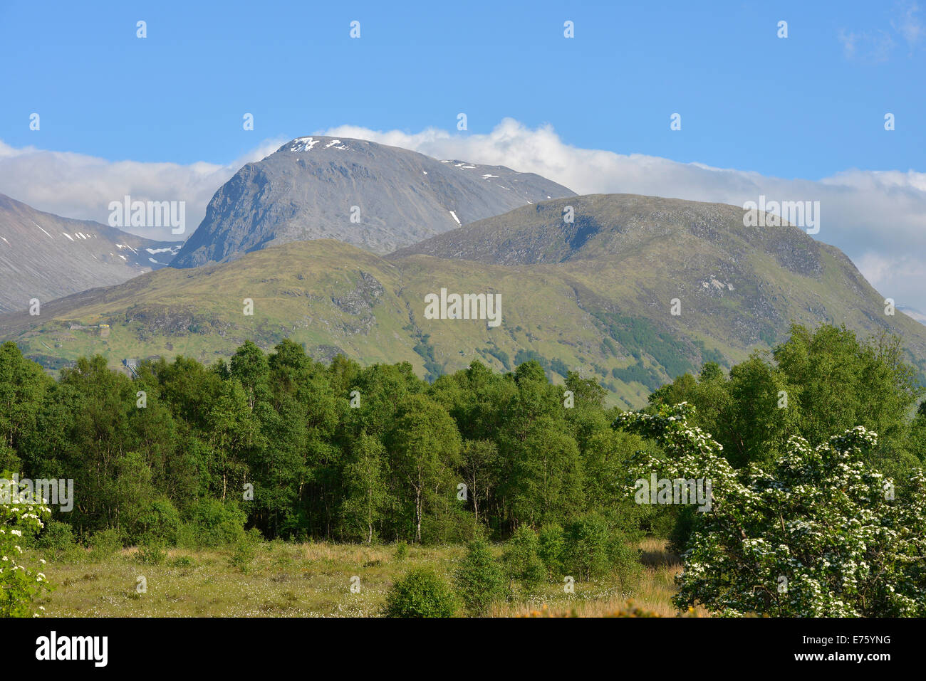 Ben Nevis, 1344m, Glen Nevis, Grampian Mountains, Scotland, Regno Unito Foto Stock